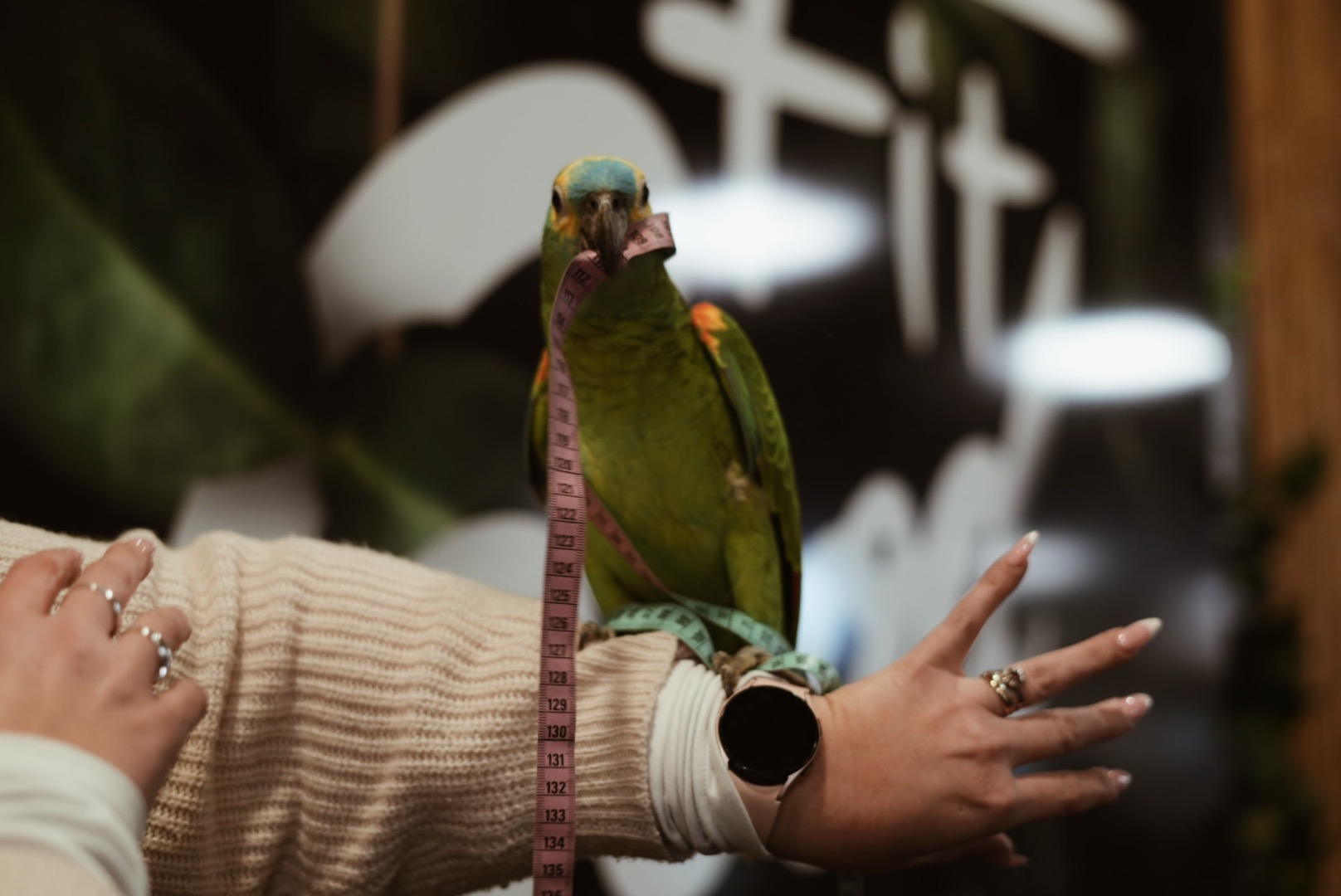 Fotografia 82 de FitGood