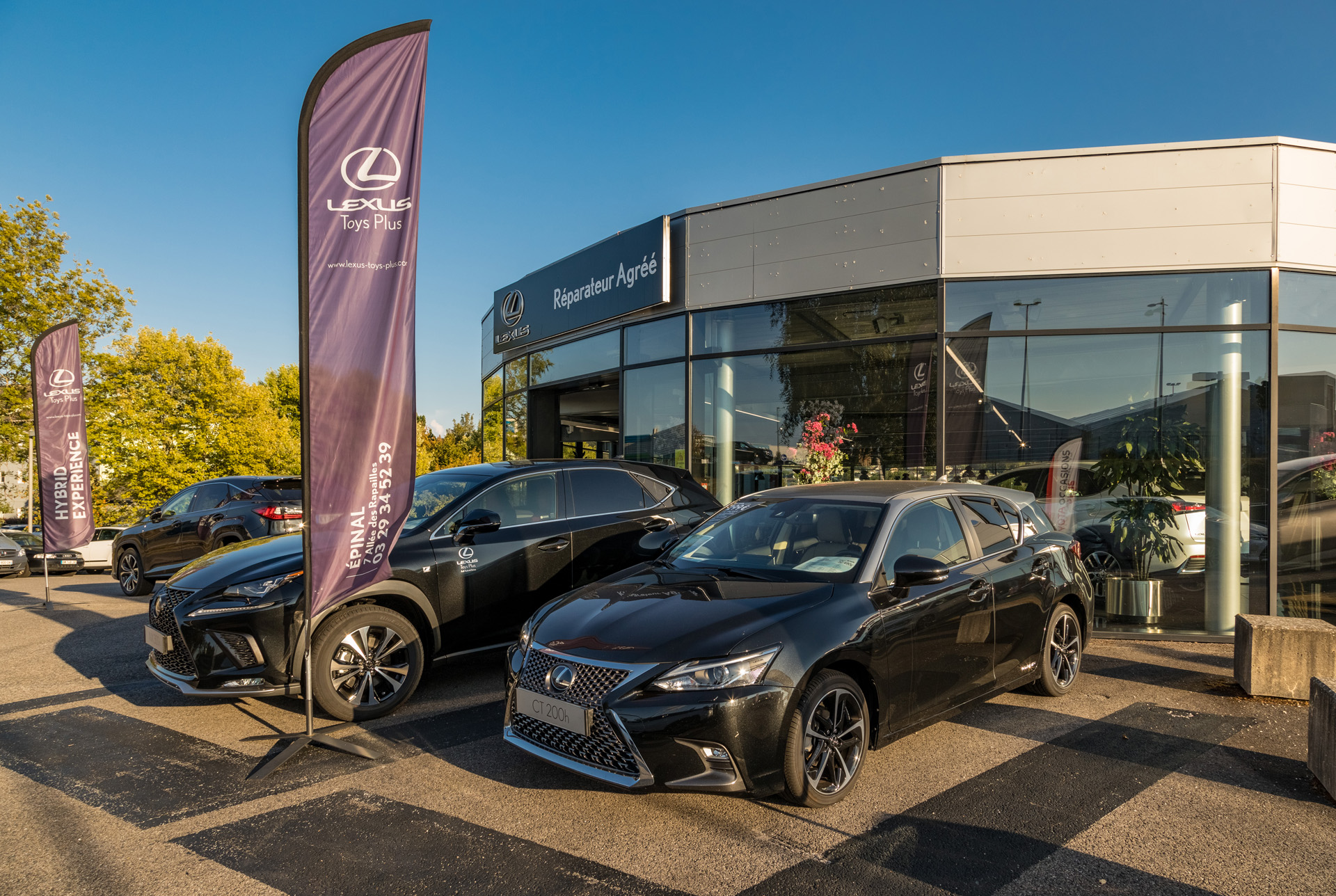 Foto 9 di Lexus Toys Plus - Épinal