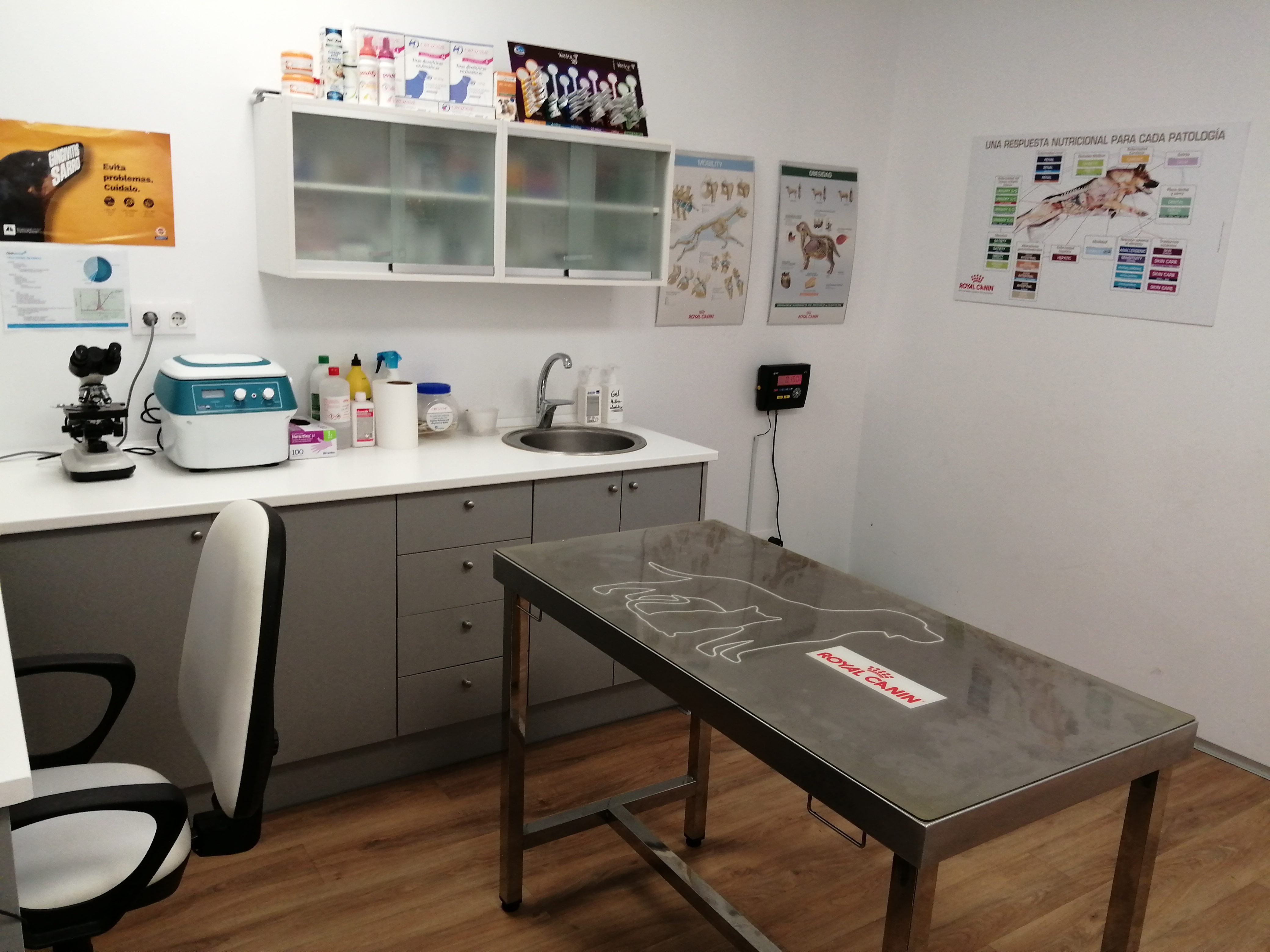 Foto 6 di Clinicanimal