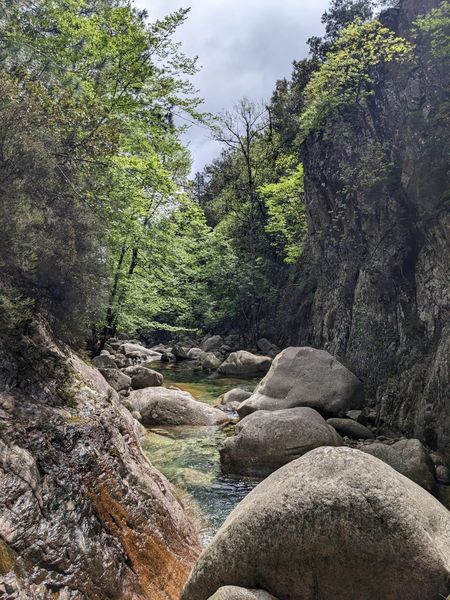 Corsica Forest Canyoning