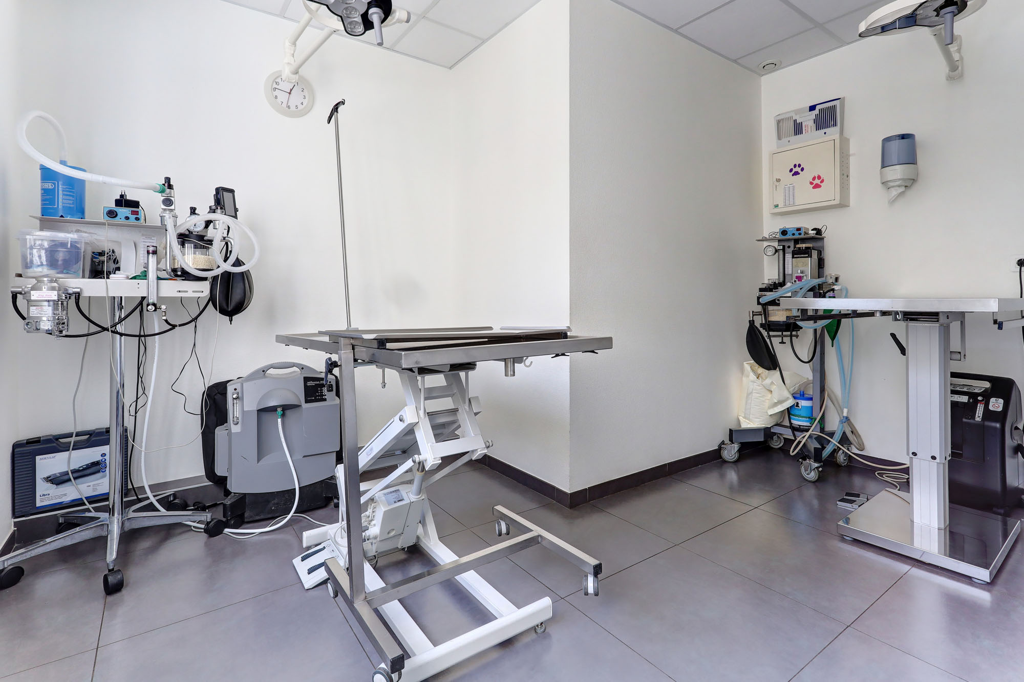 Photo 5 of Clinique Vétérinaire Argos Reims Dauphinot