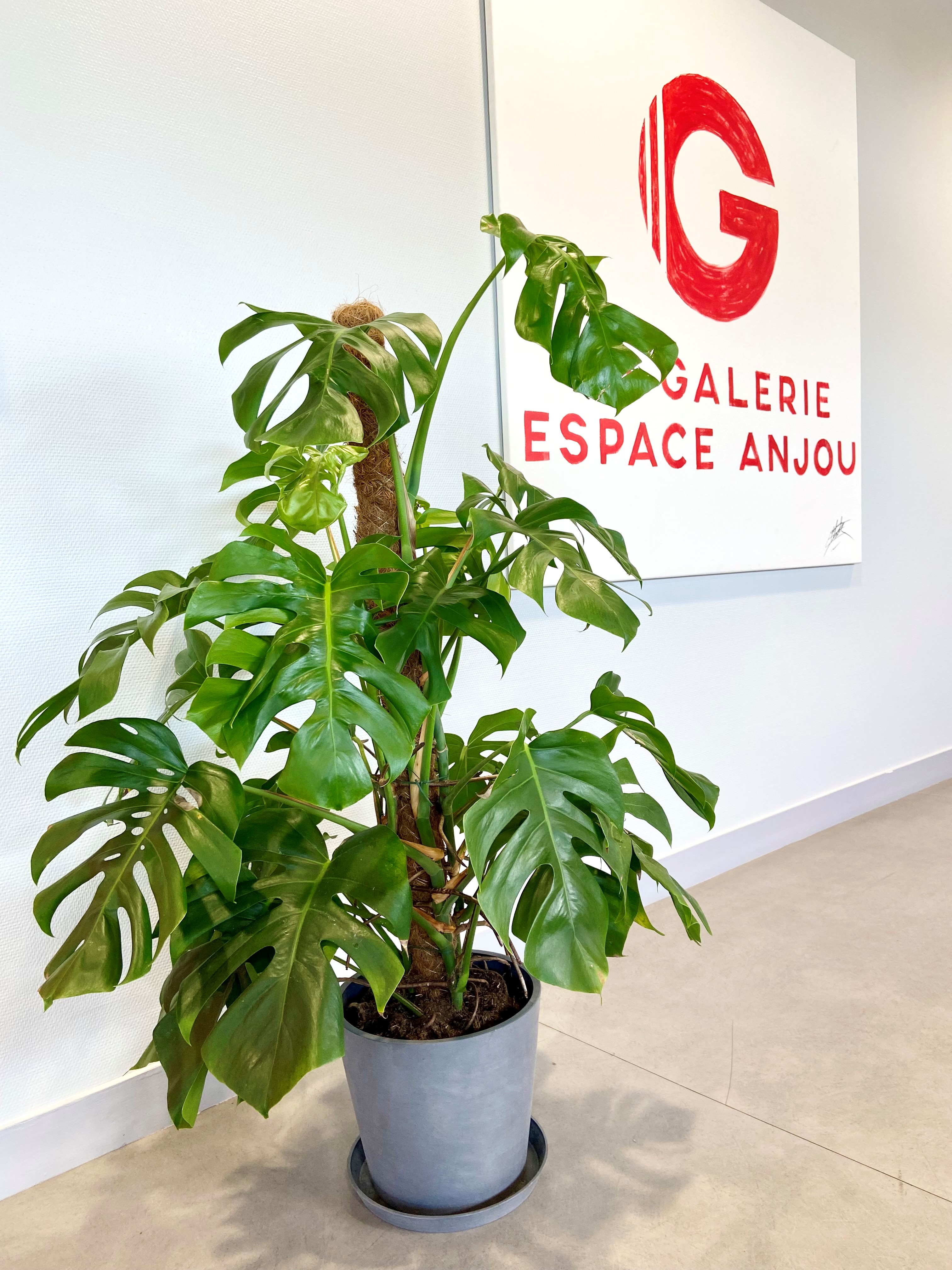 Foto 4 di Capcowork Angers