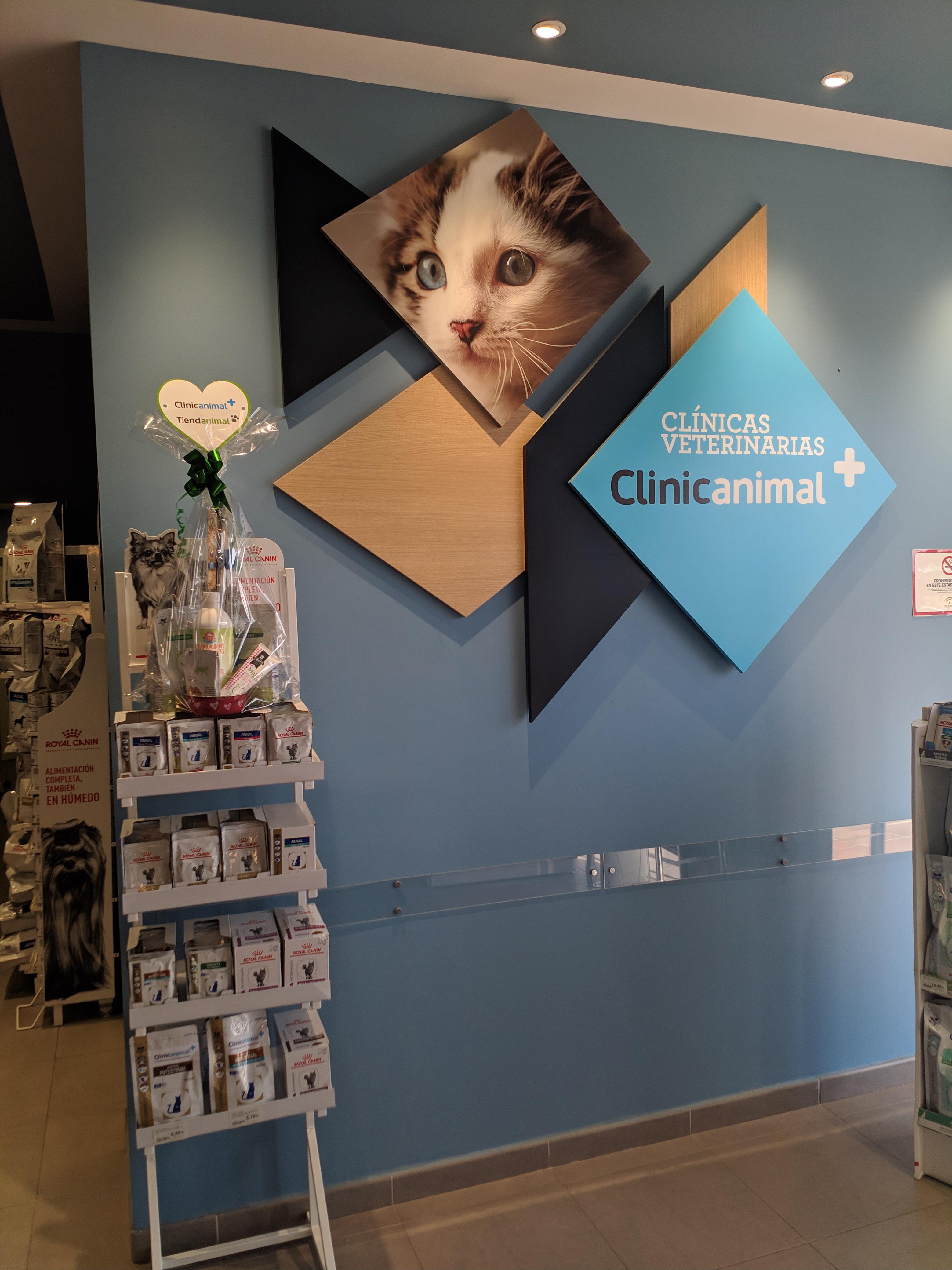 Foto 3 di Clinicanimal