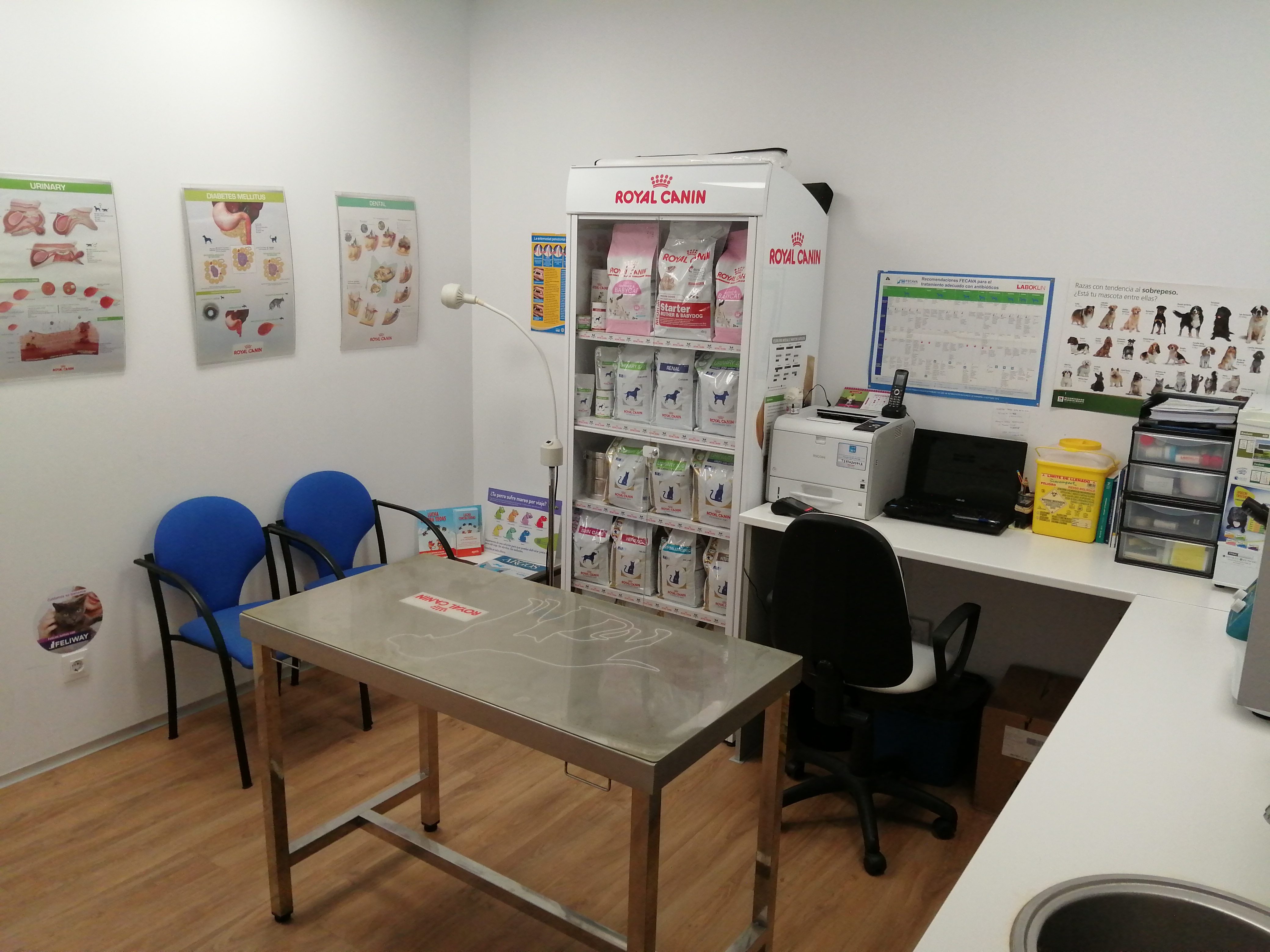 Foto 7 di Clinicanimal