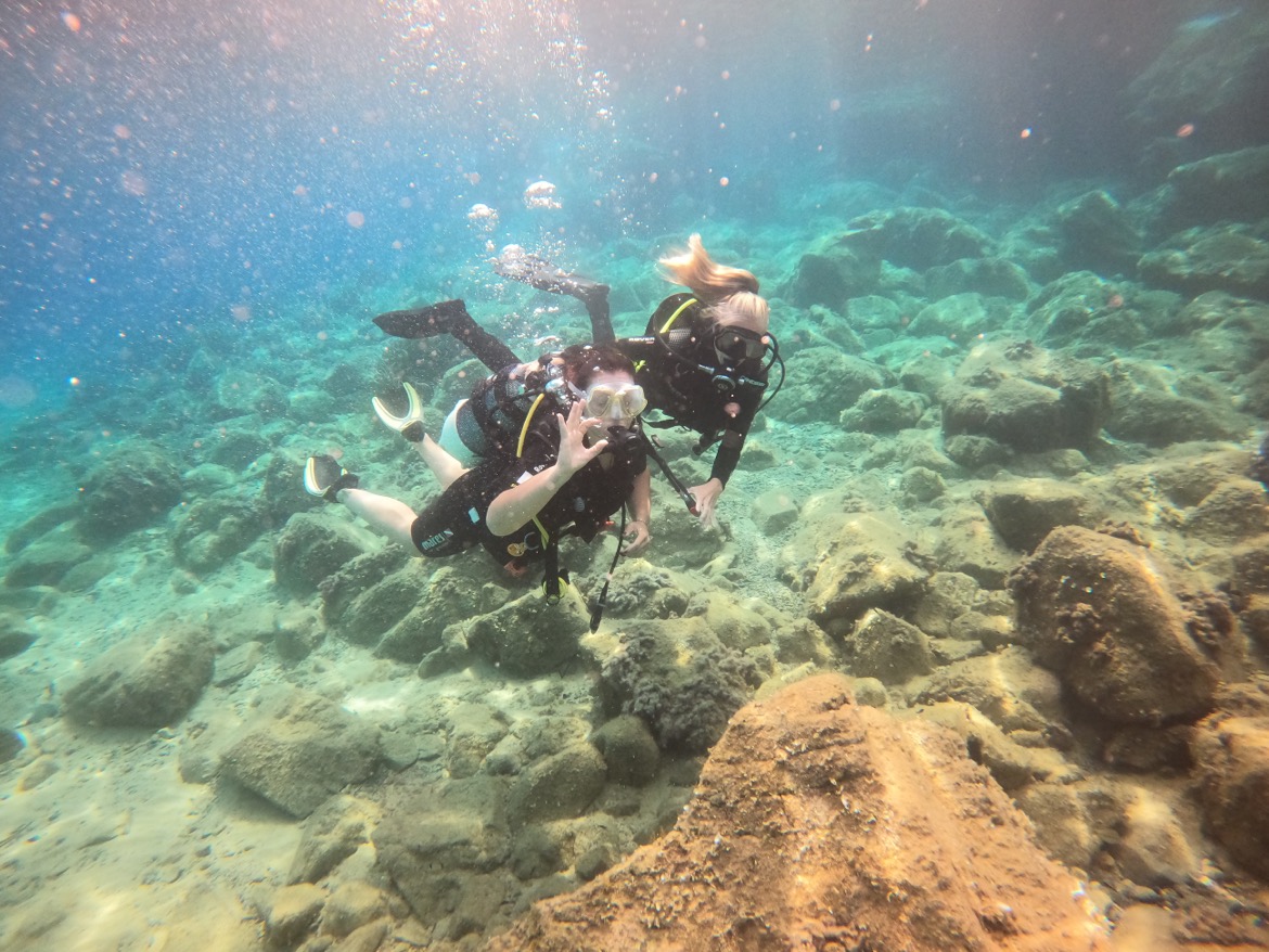 Fotografia 10 de Diving in Elba Biodola