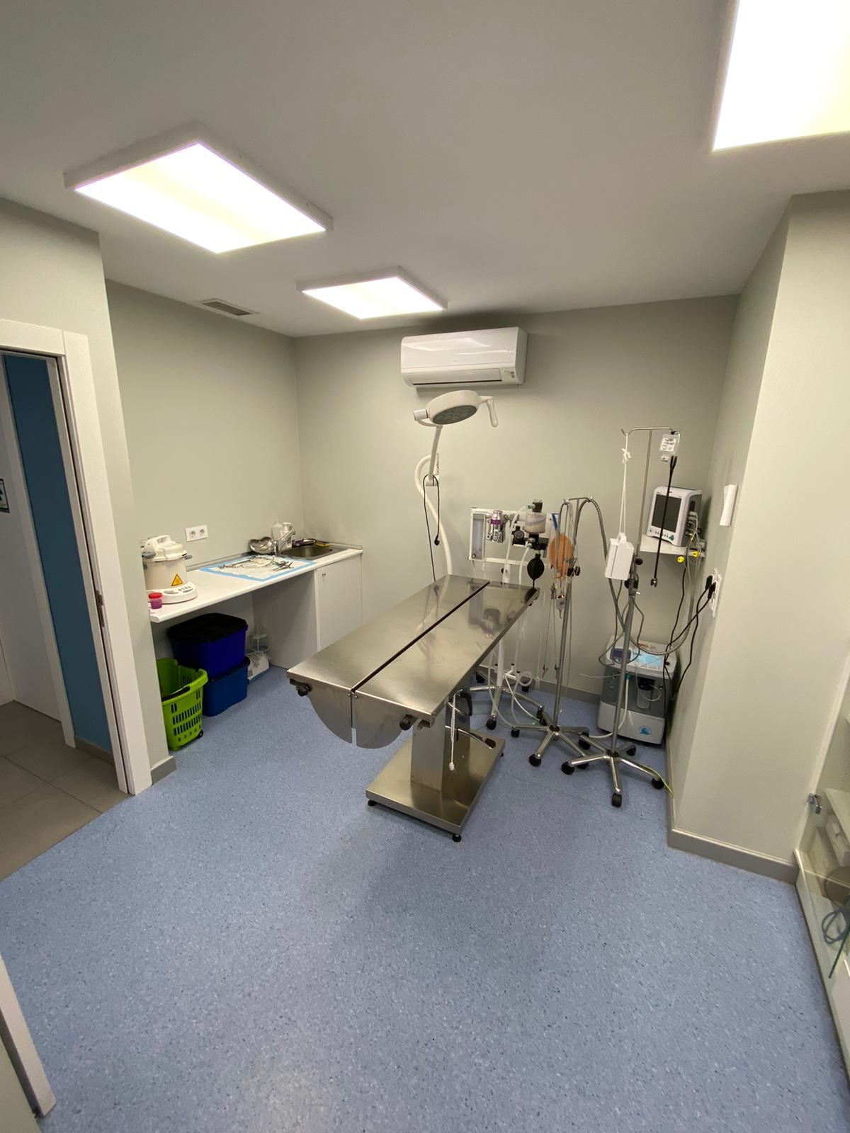 Foto 4 di Clinicanimal