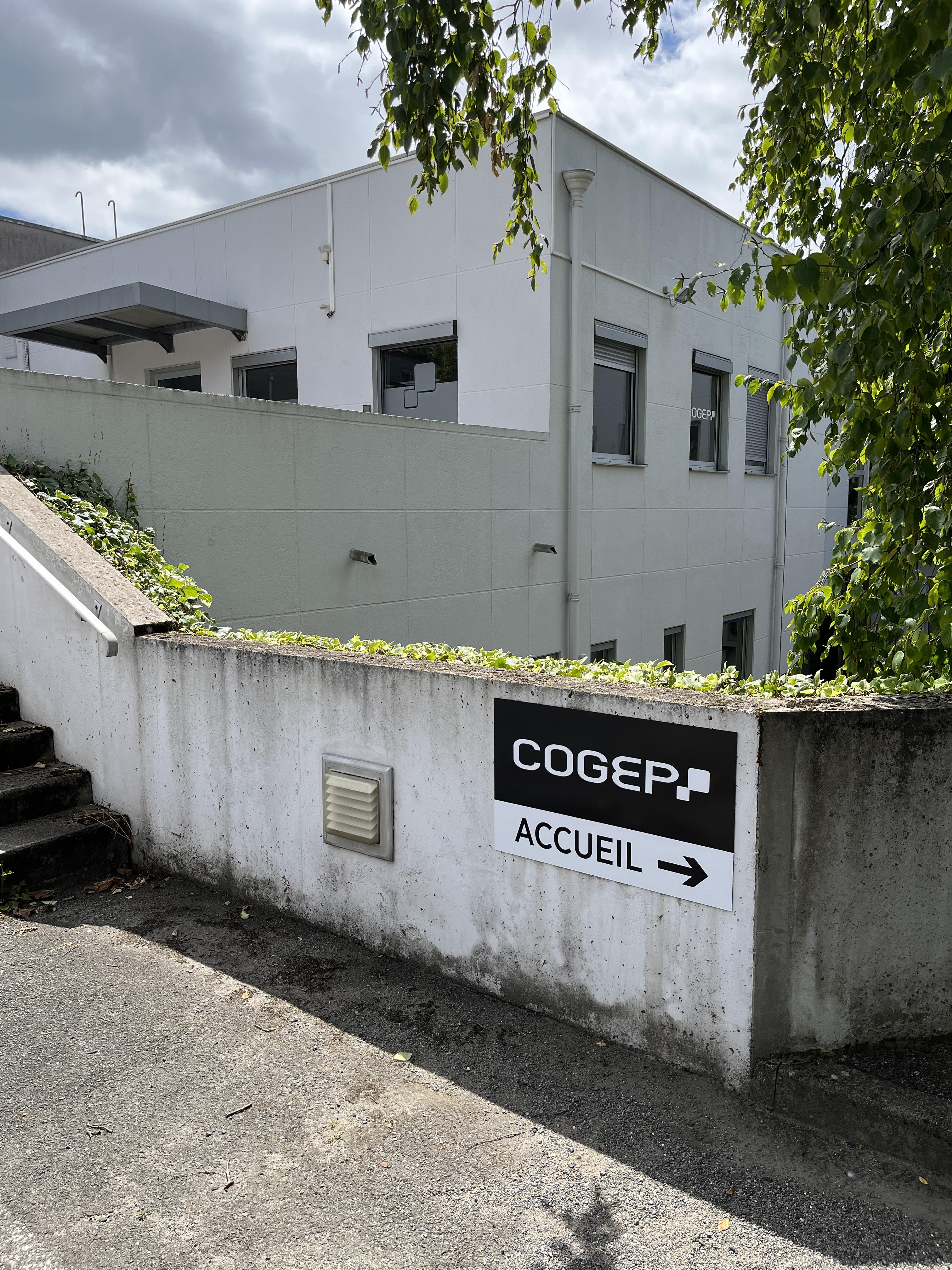 Foto 3 di COGEP
