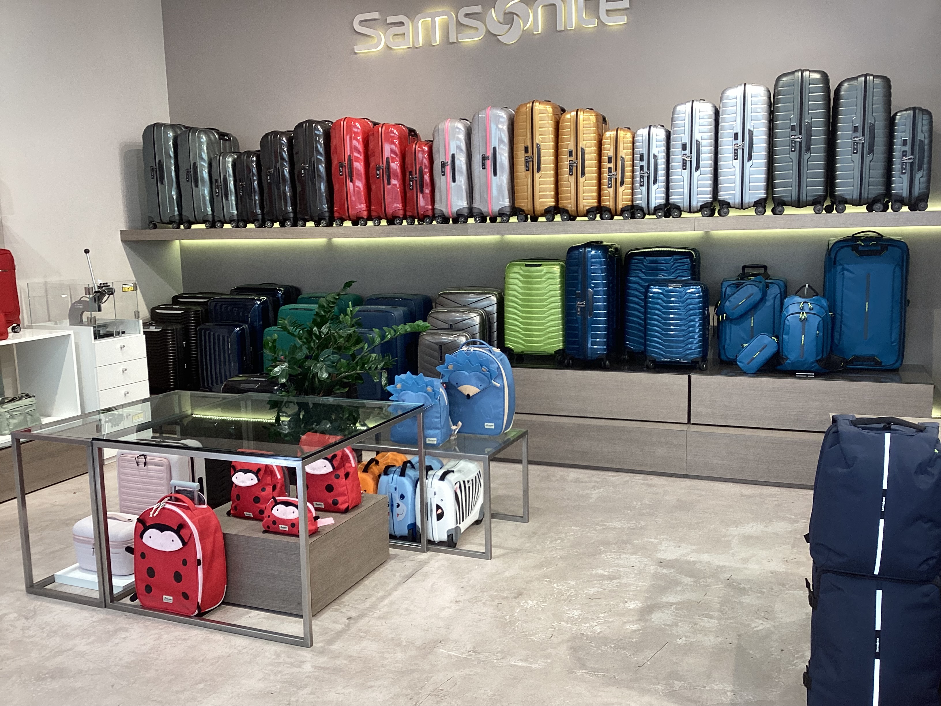 Foto 83 de Samsonite
