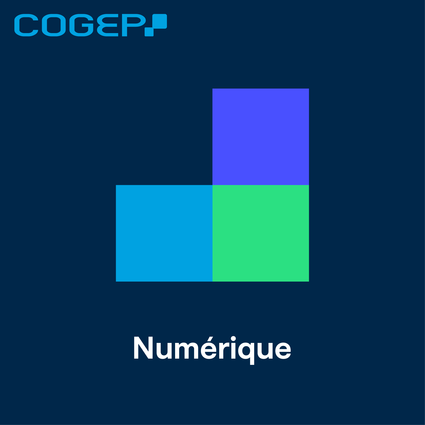 Foto 11 di COGEP