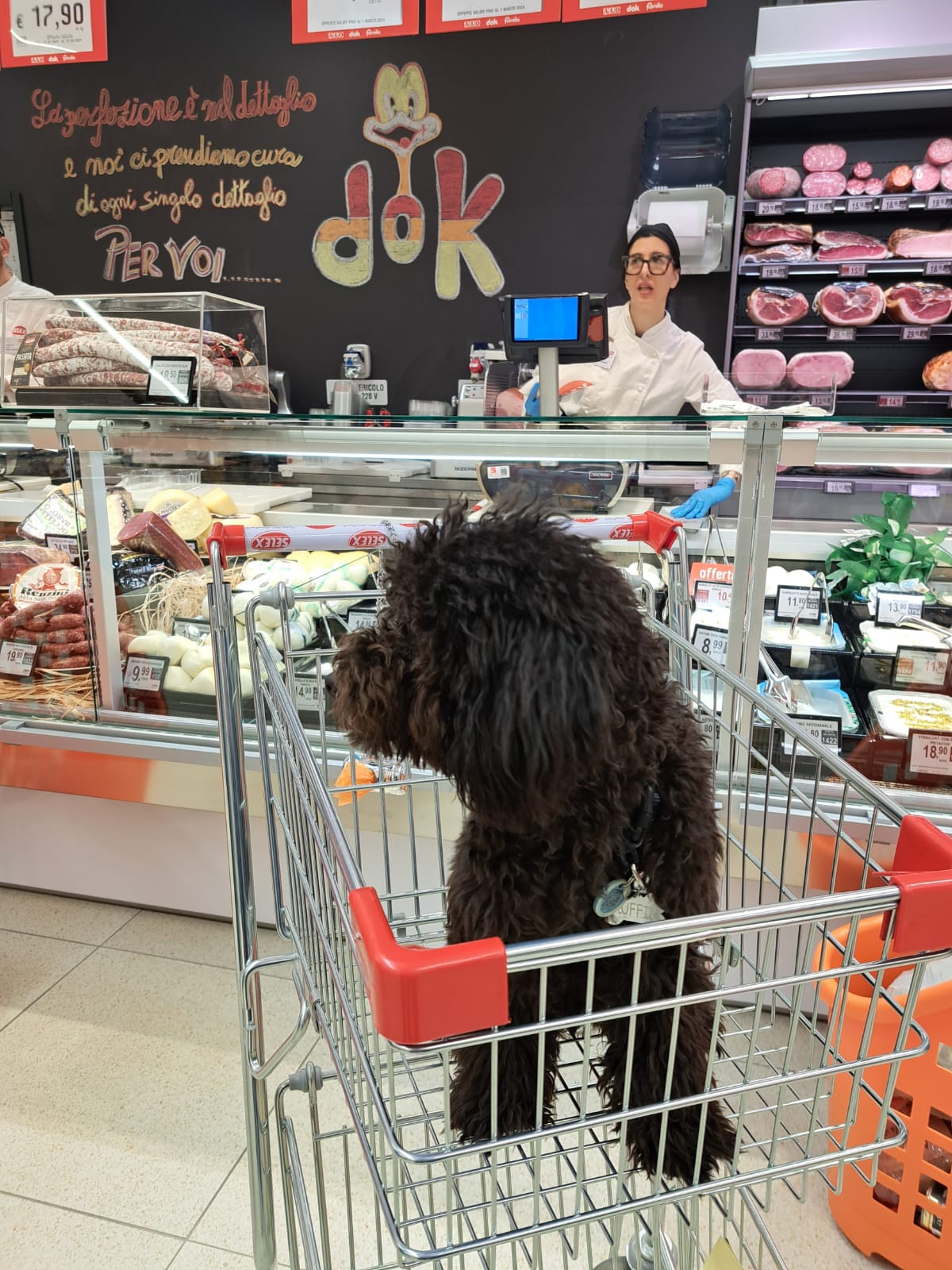 Photo 16 de Supermercato dok