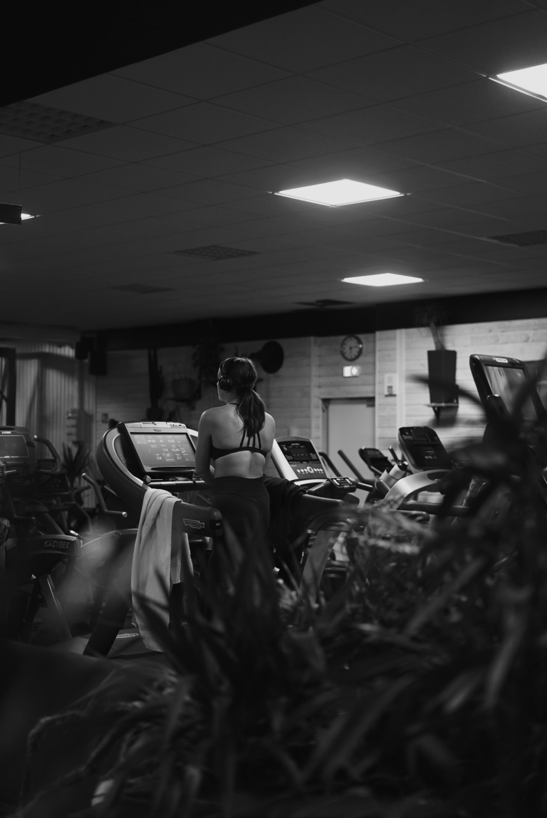 Fotografia 90 de FitGood