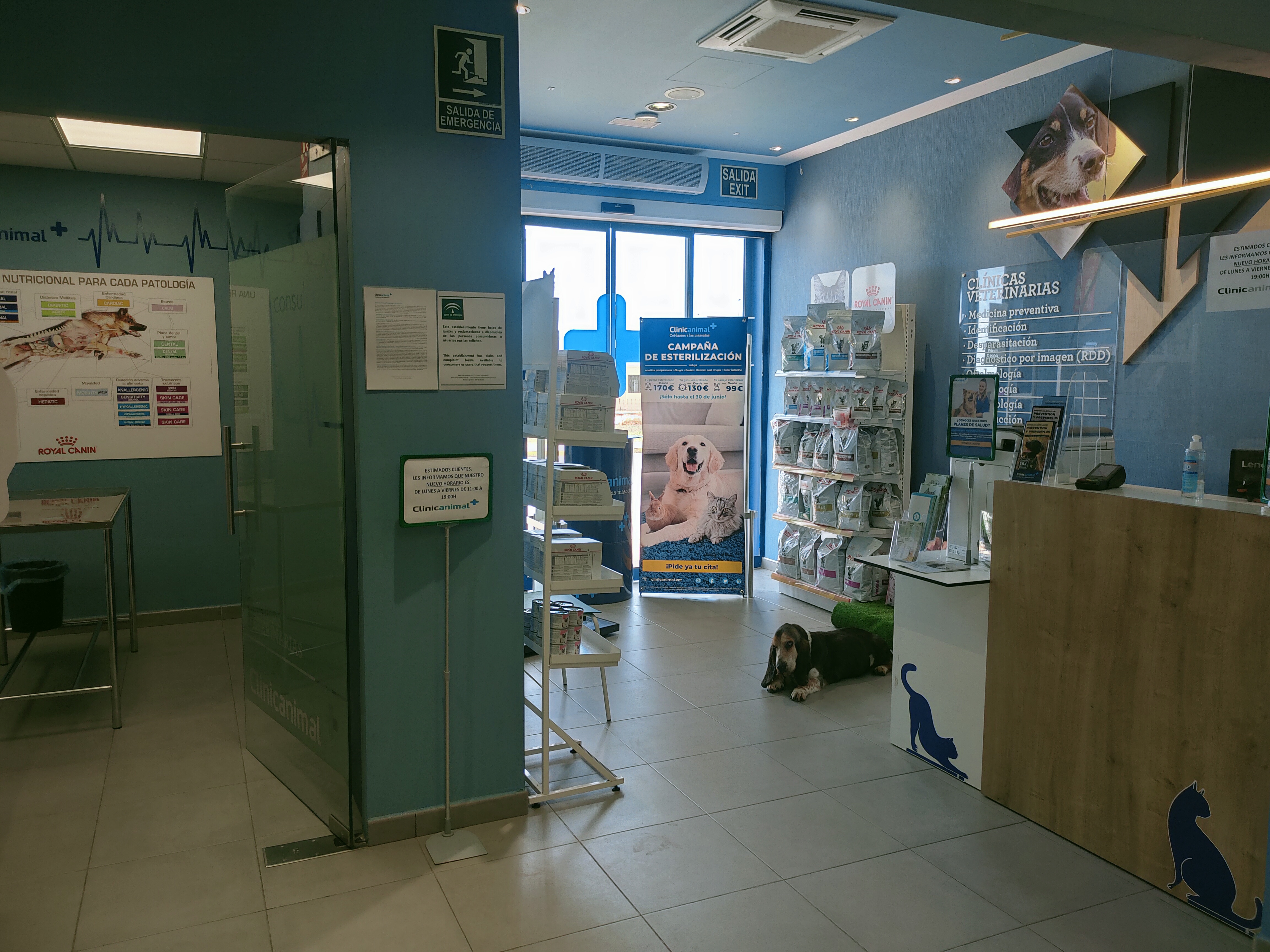Foto 12 di Clinicanimal