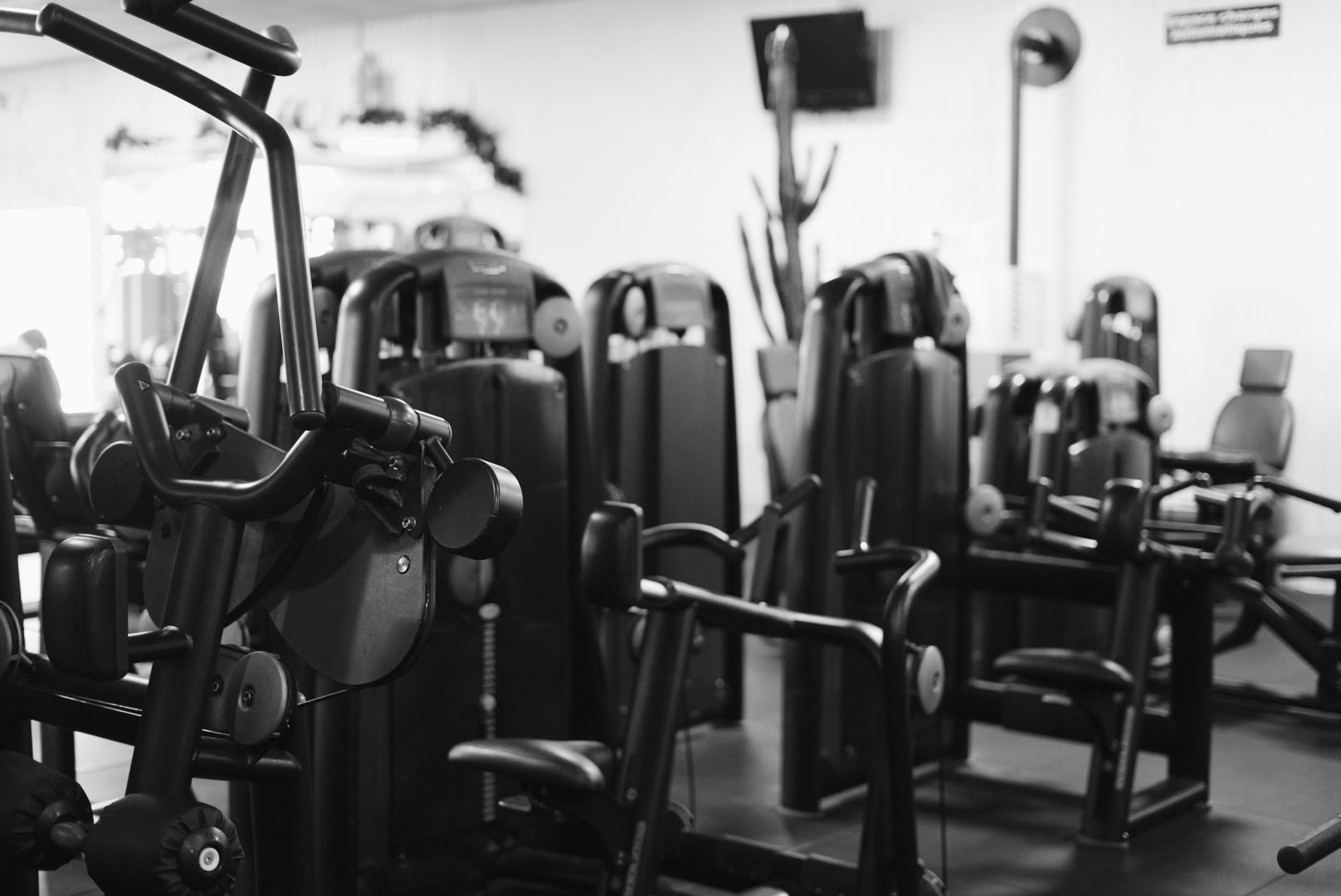 Fotografia 78 de FitGood