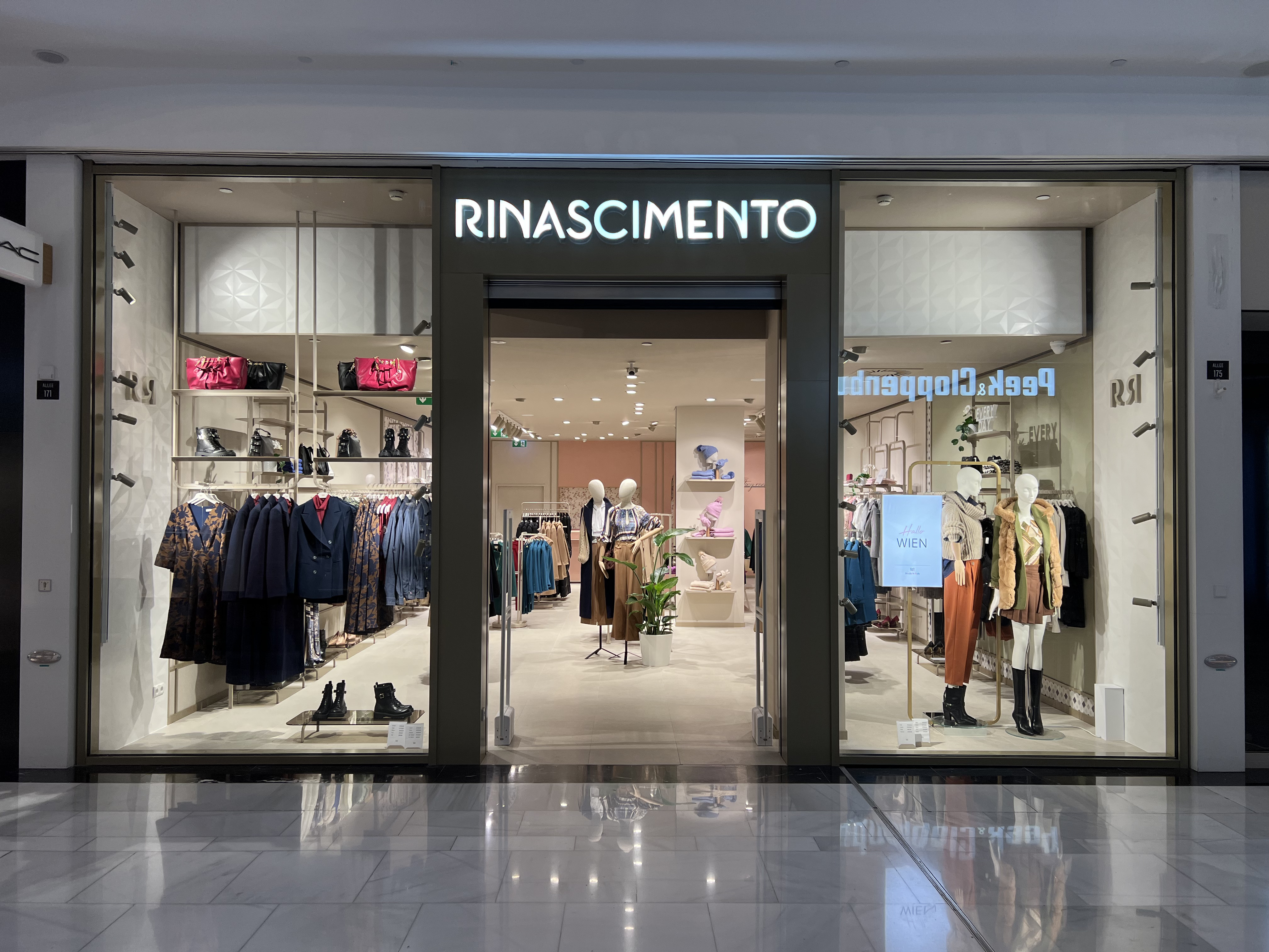 Foto 1 di Rinascimento