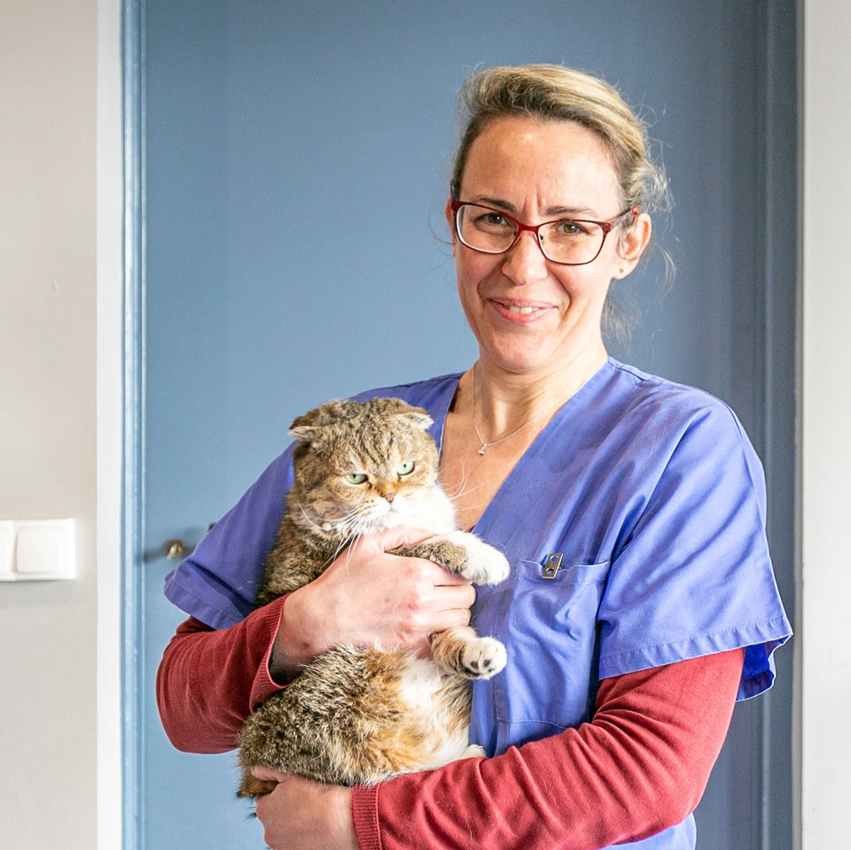 Clinique Vétérinaire Argos