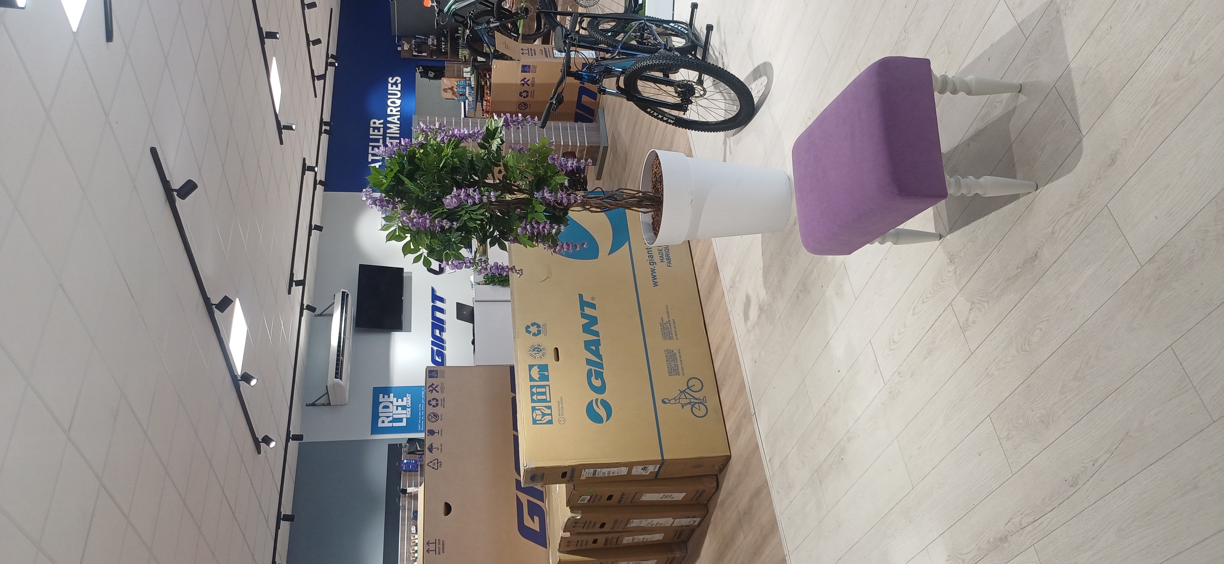 Foto 11 di Giant Valence