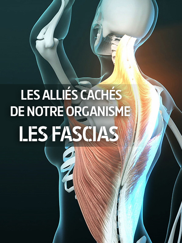 Foto 7 di Guichard Aurélien - Ostéopathe - Angers