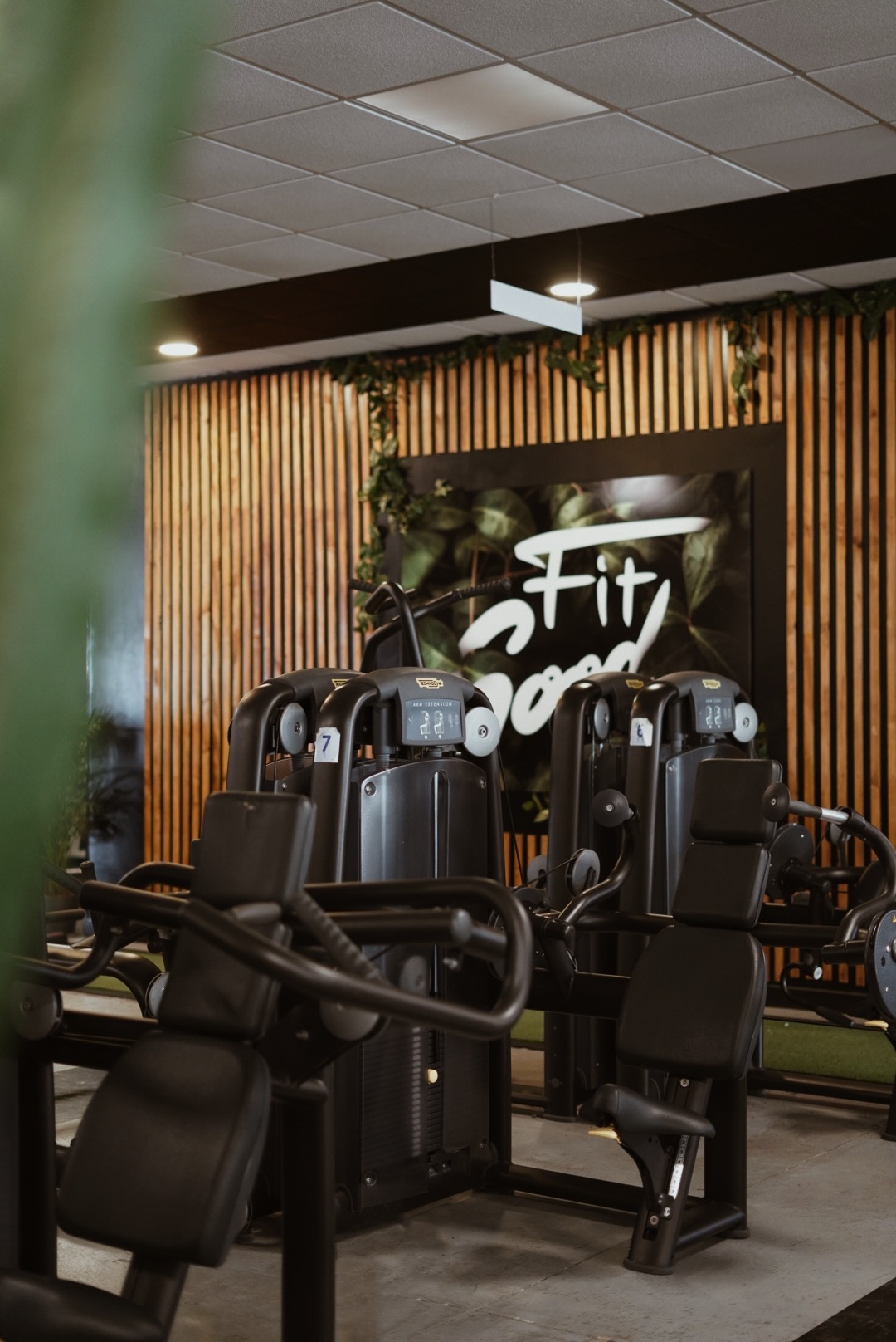 Fotografia 117 de FitGood