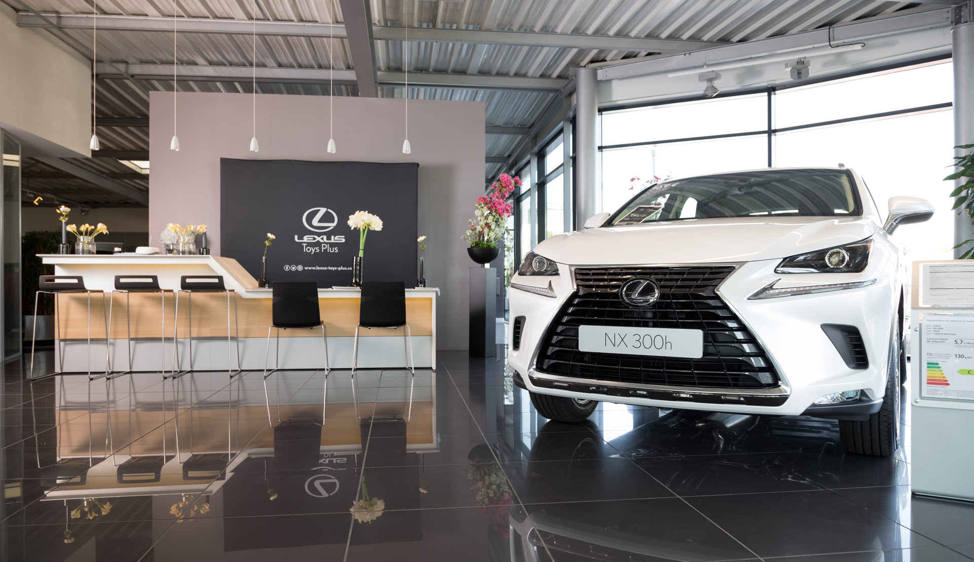 Foto 21 di Lexus Toys Plus - Épinal