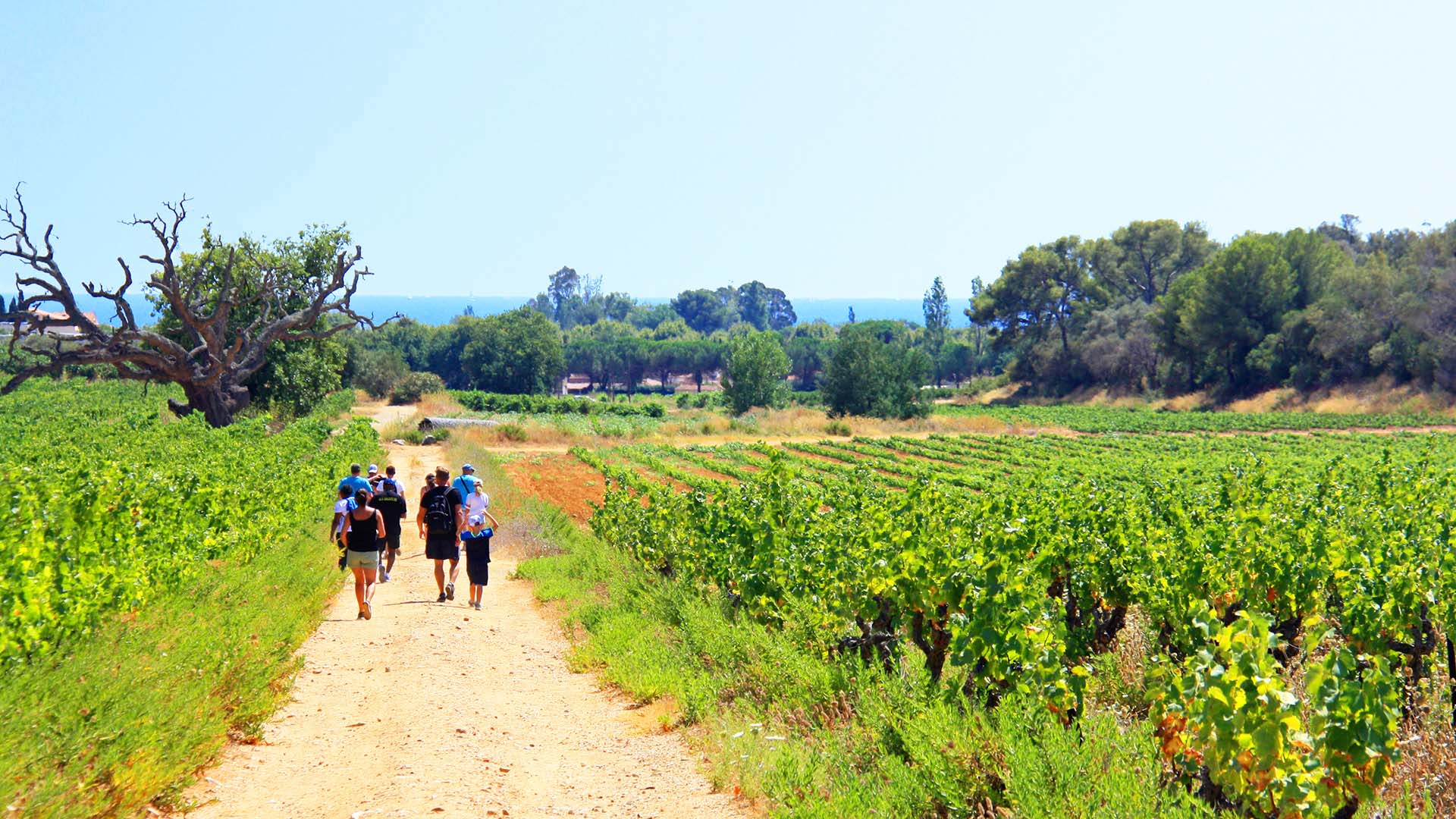 Village vacances La Londe-les-Maures - AZUREVA