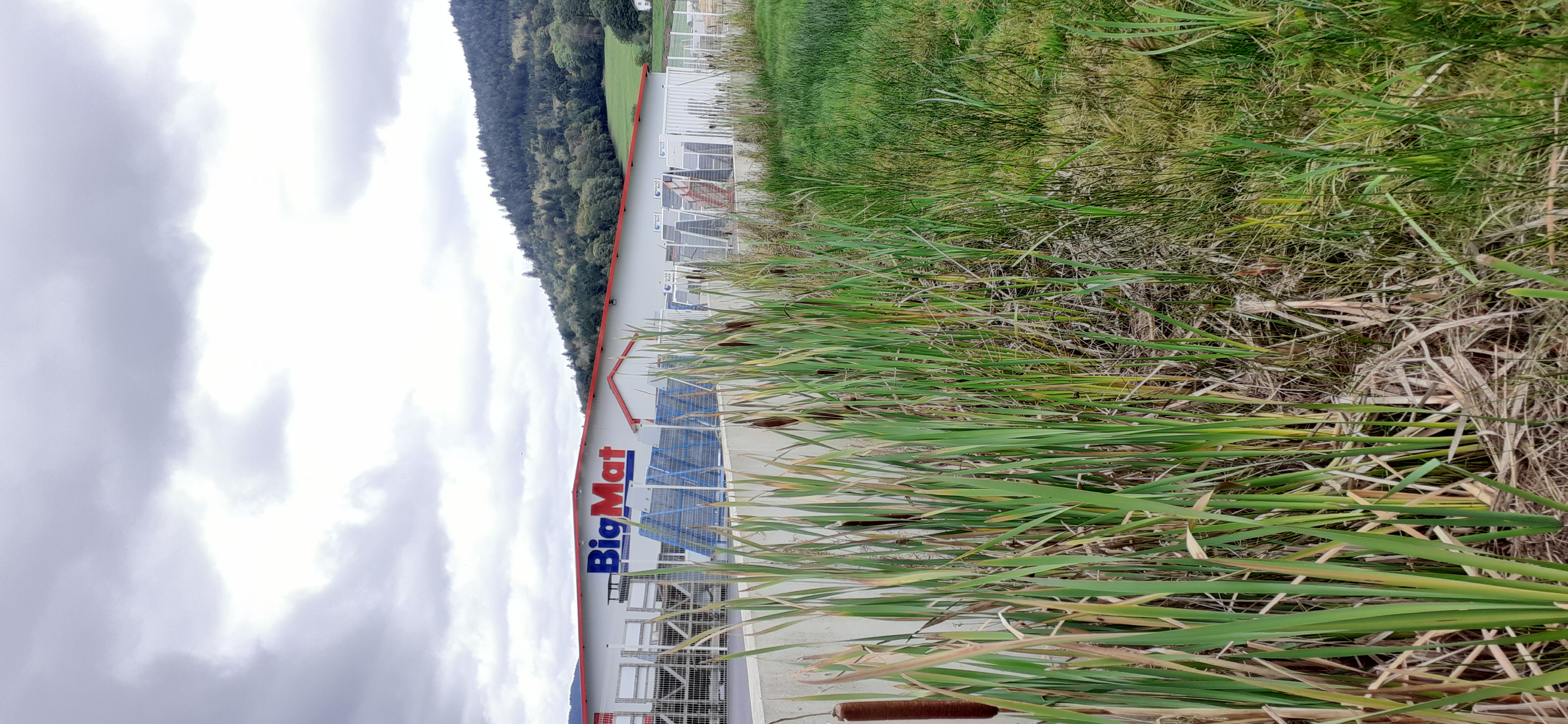 Foto 5 di BigMat Germat Cussenot