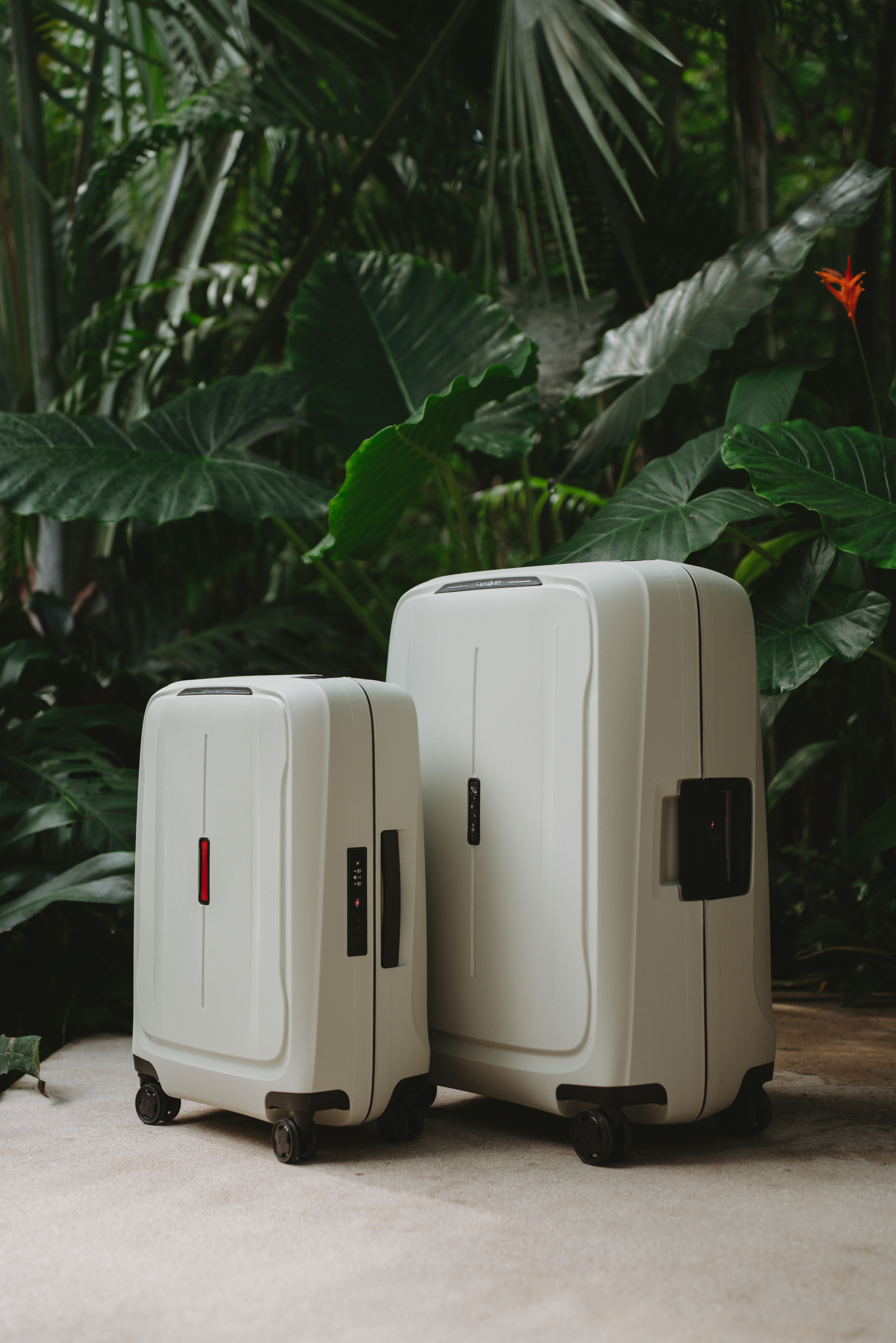 Photo 6 de Samsonite