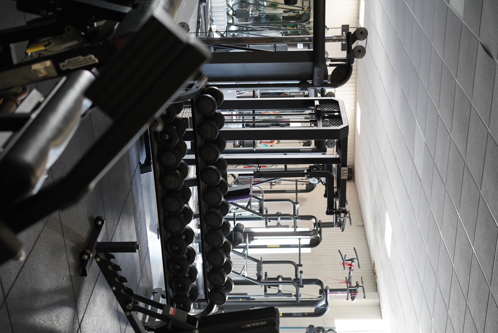 Fotografia 116 de FitGood