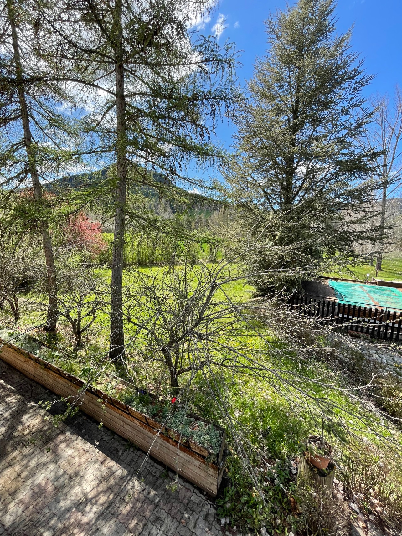 Hôtel le Vieux Tilleul