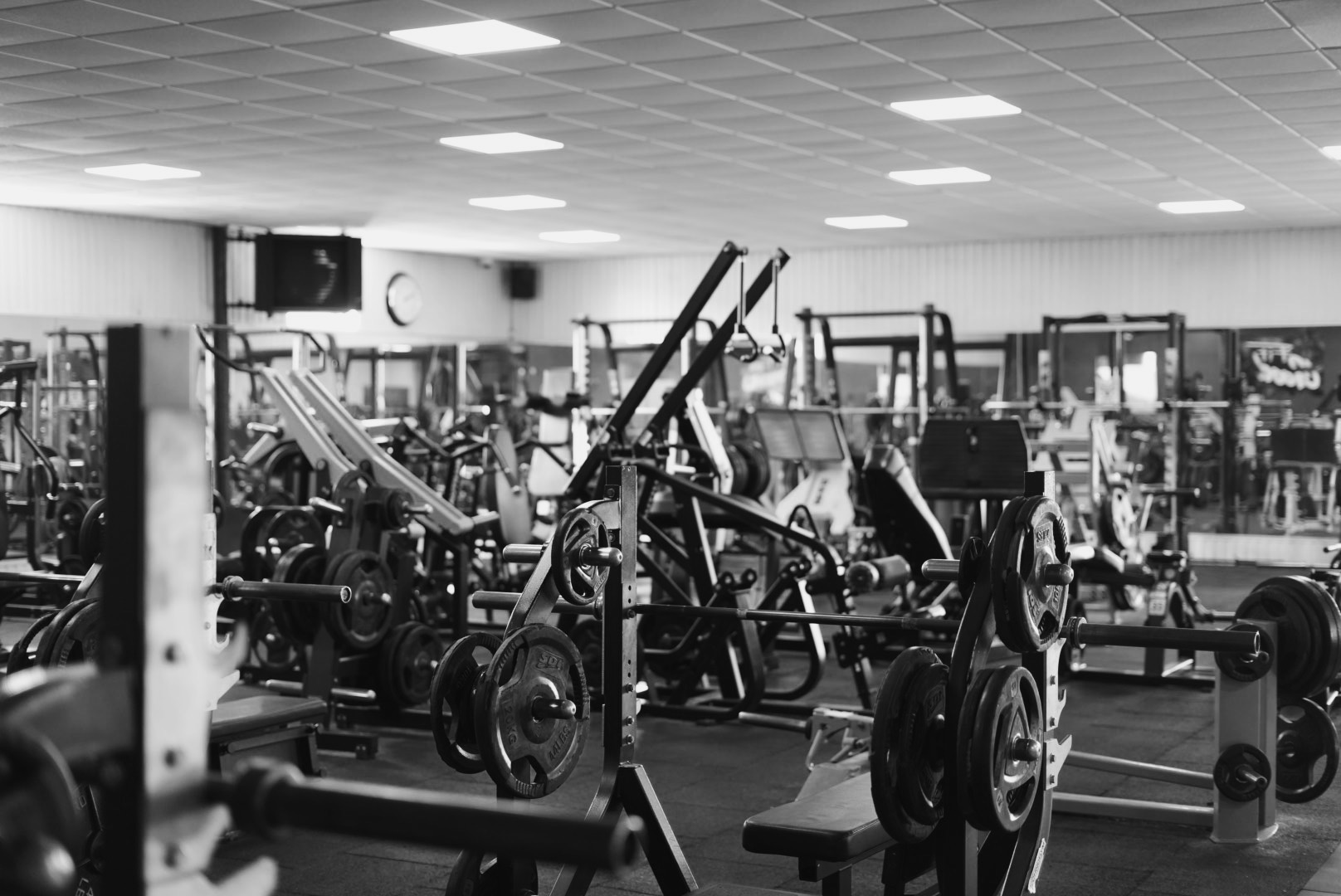 Fotografia 76 de FitGood
