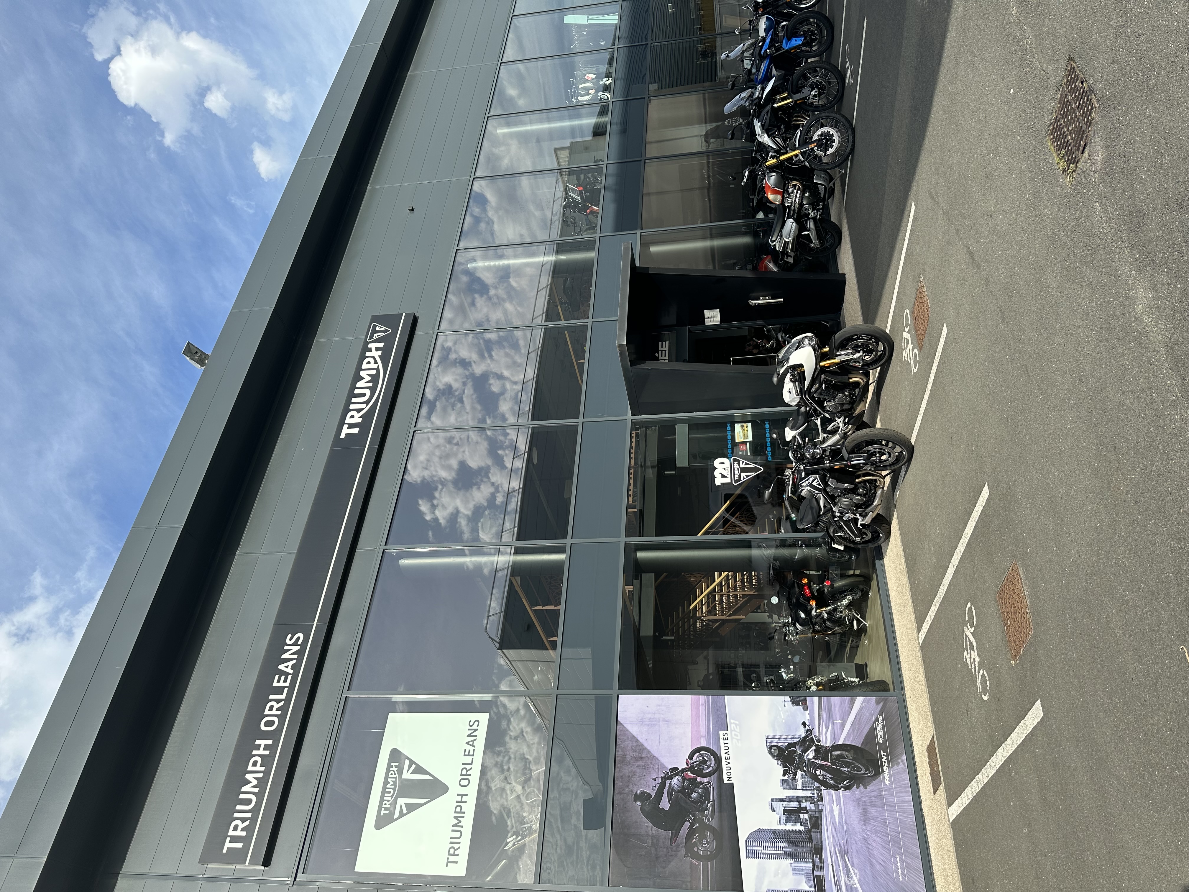 Foto 2 di Triumph Orleans
