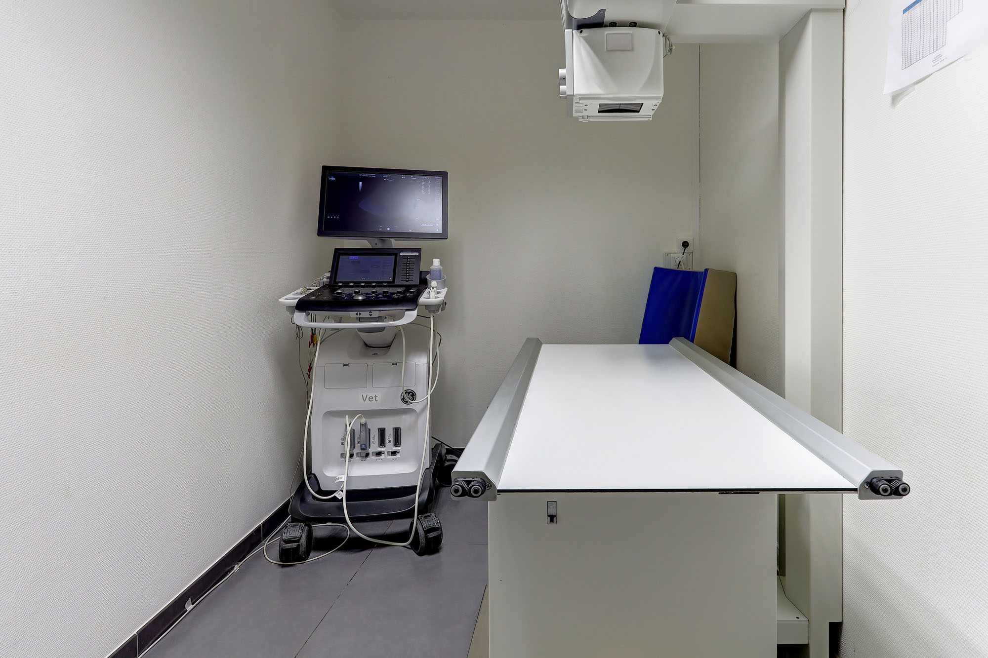Photo 4 of Clinique Vétérinaire Argos Reims Dauphinot