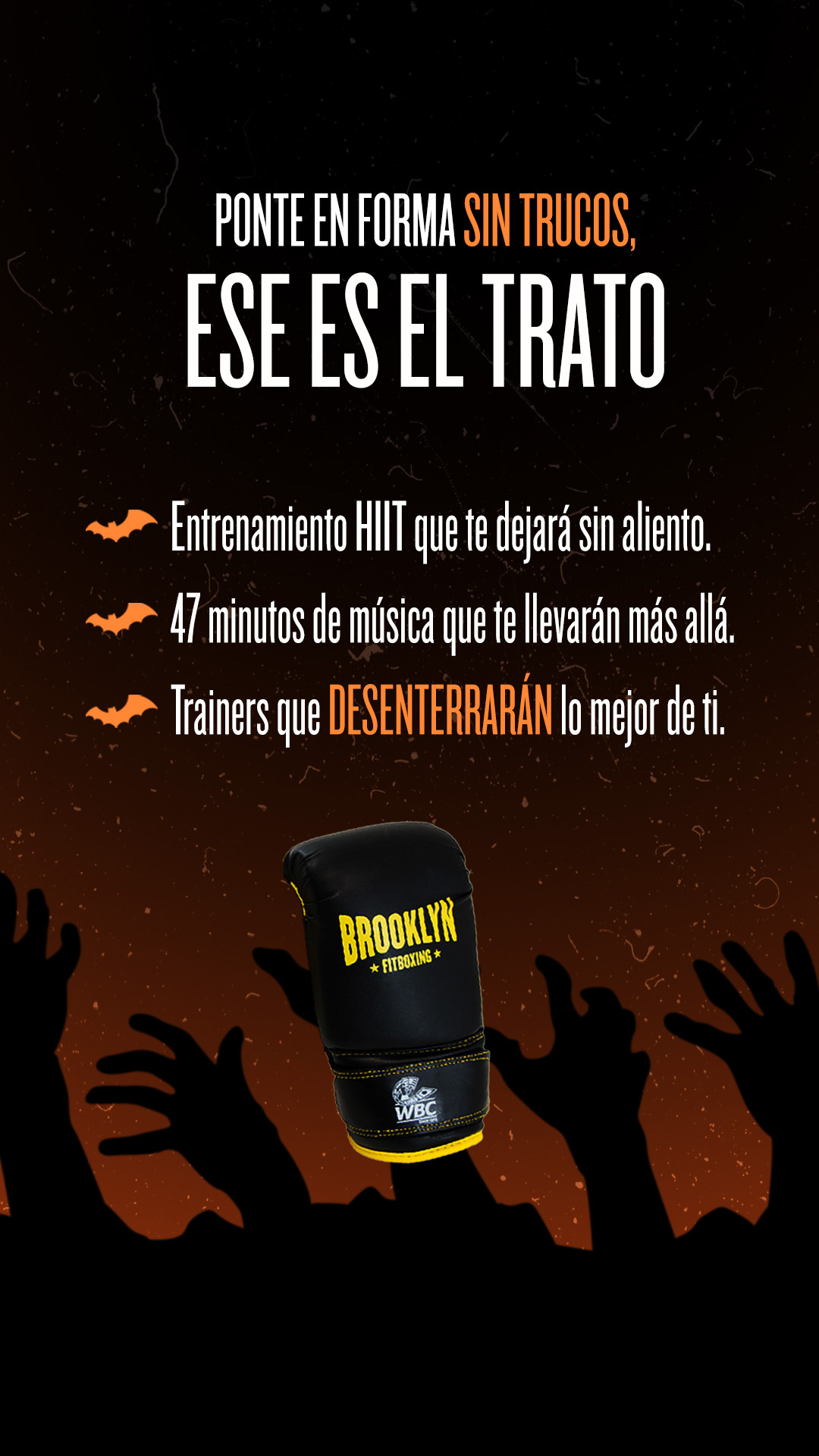 Fotografia 110 de Brooklyn Fitboxing Logroño