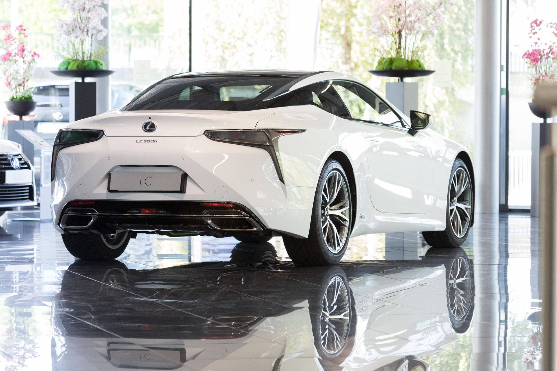 Foto 4 di Lexus Toys Plus - Épinal
