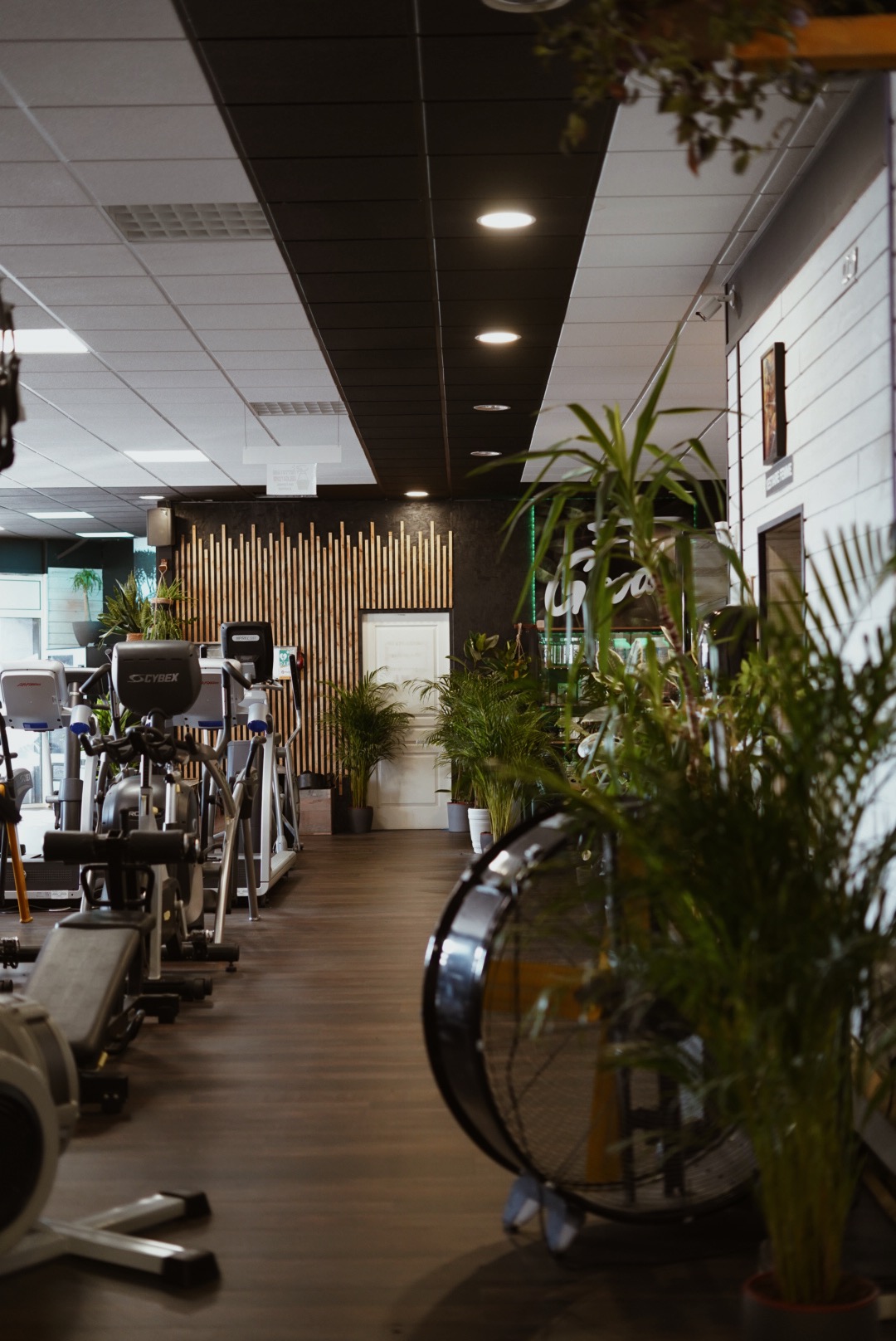 Fotografia 143 de FitGood