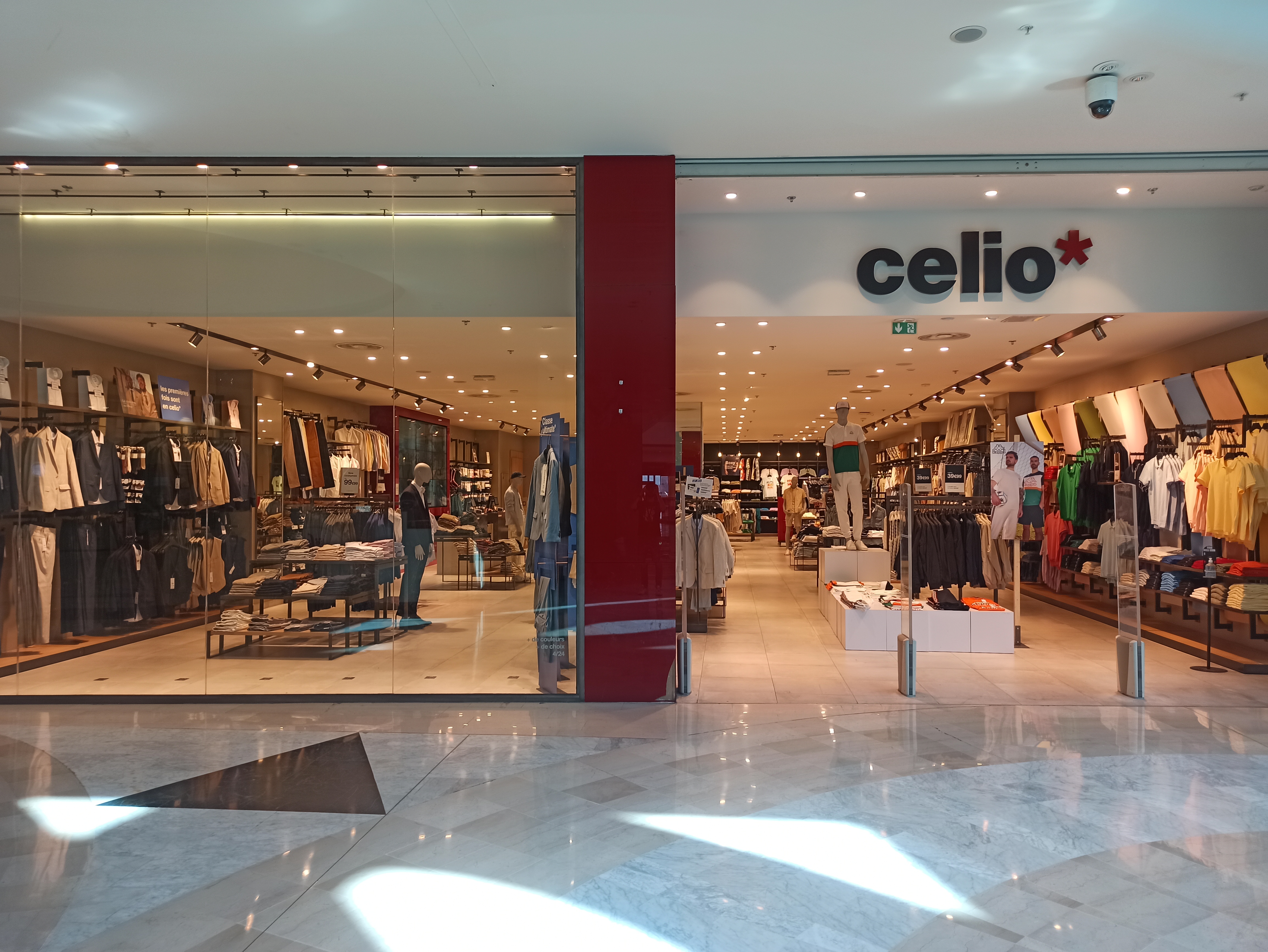 Foto 3 di celio