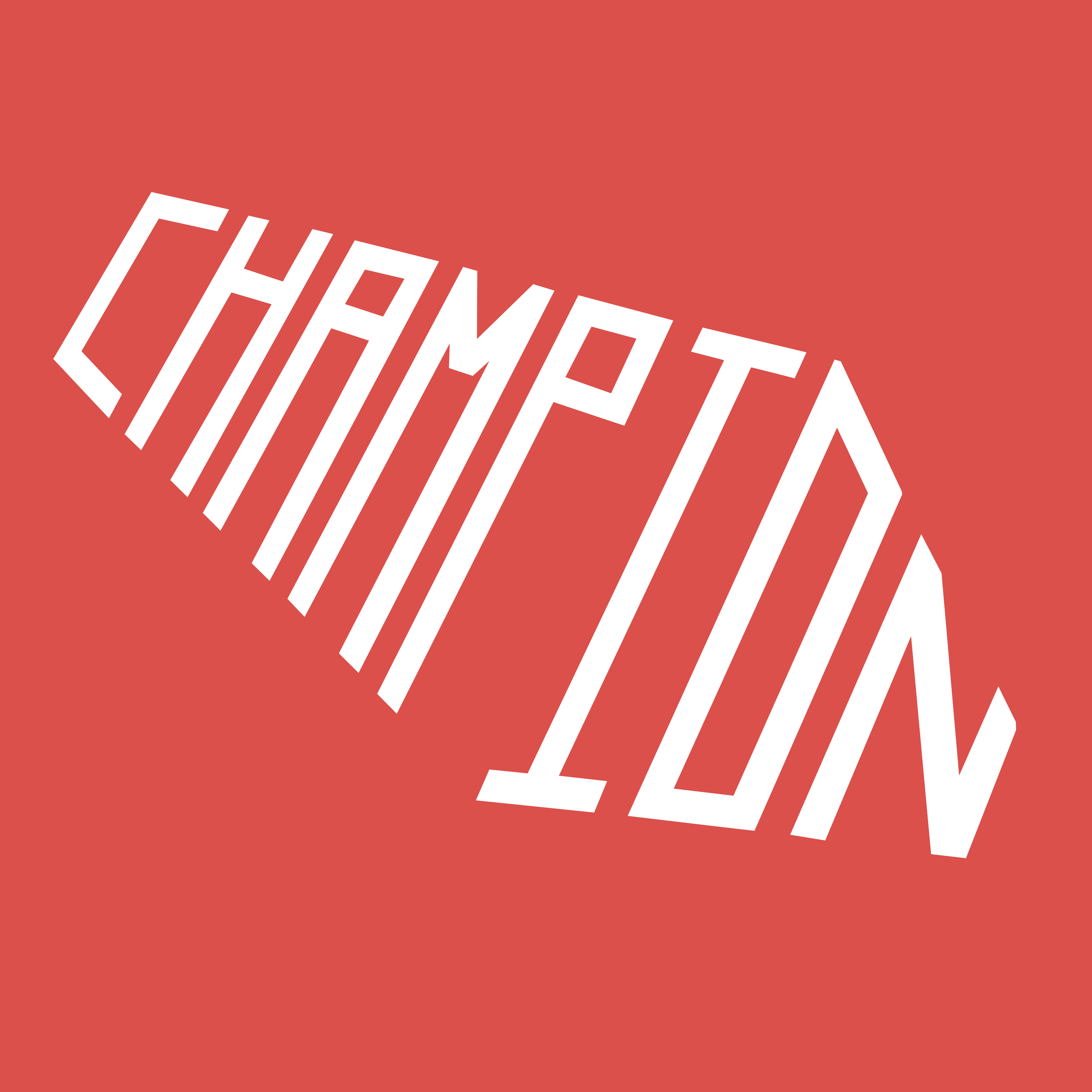 Foto 1 di Champion