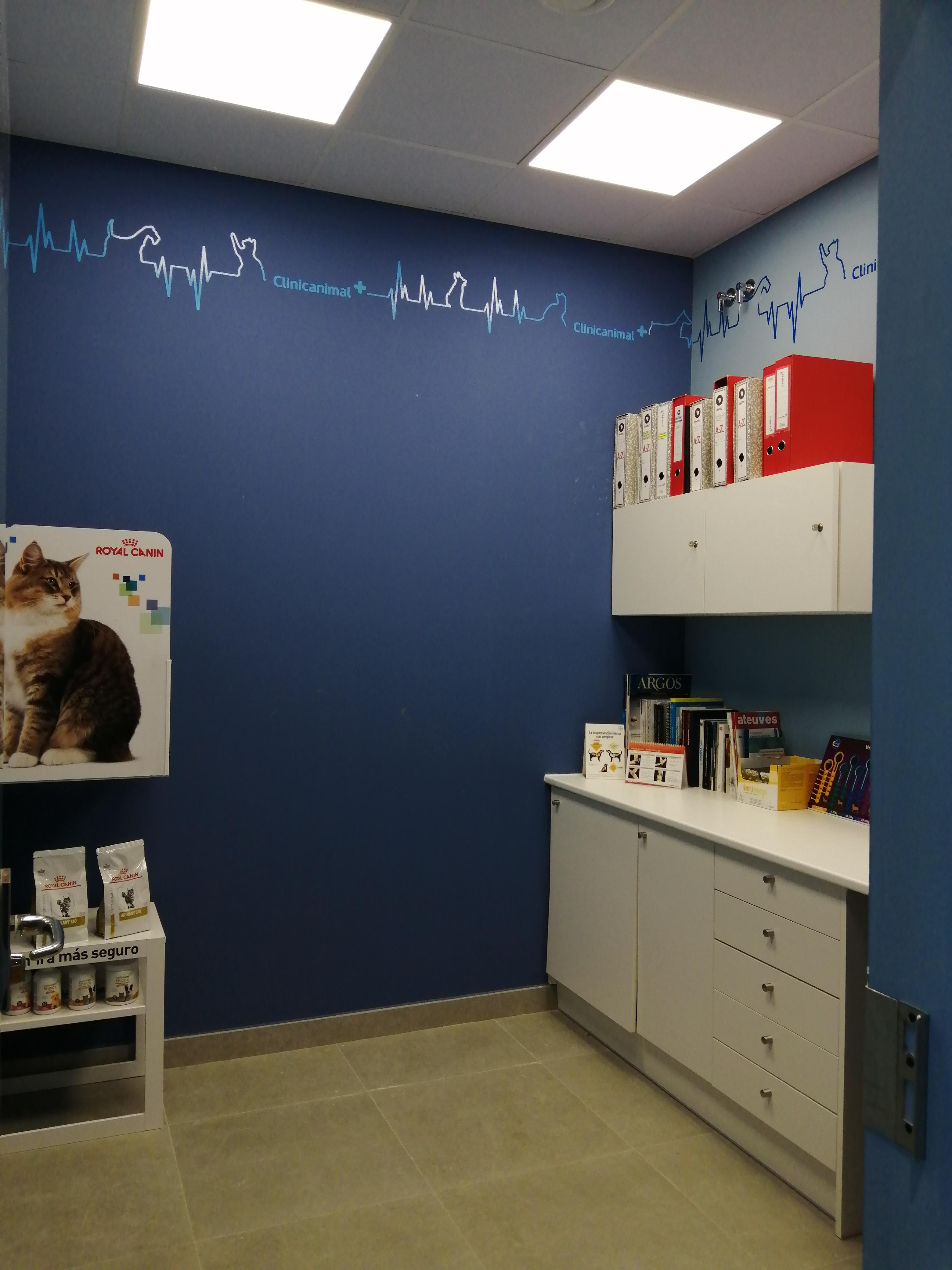 Foto 11 di Clinicanimal