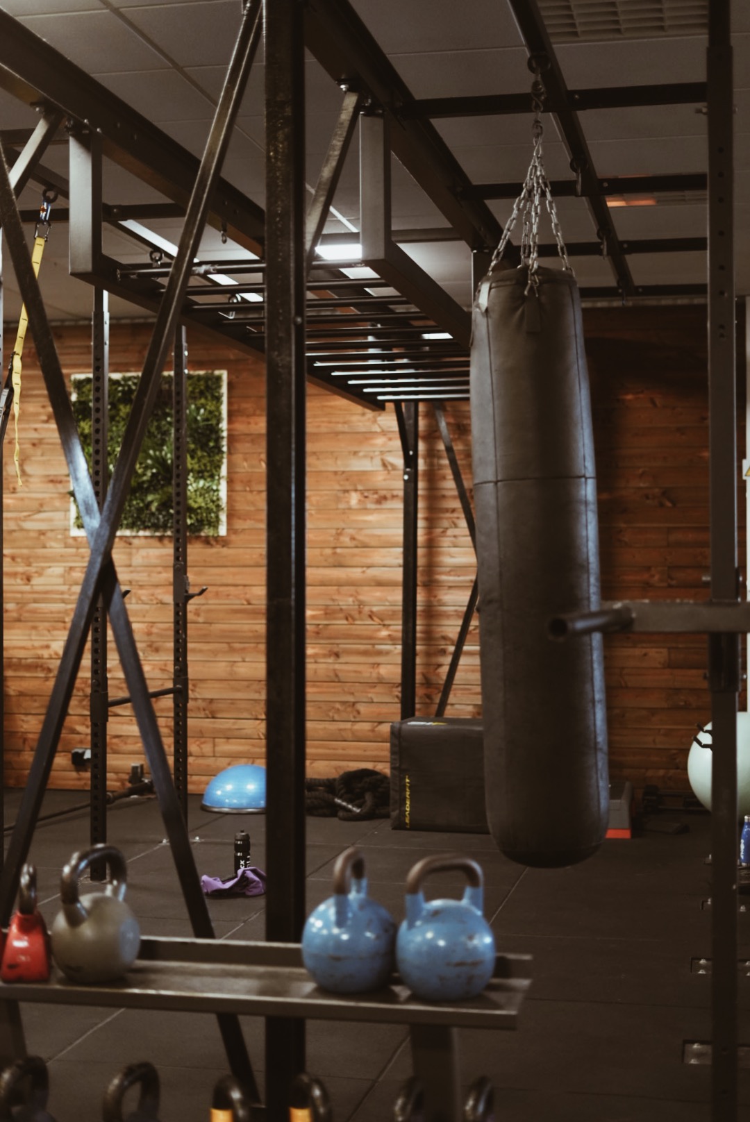 Fotografia 179 de FitGood