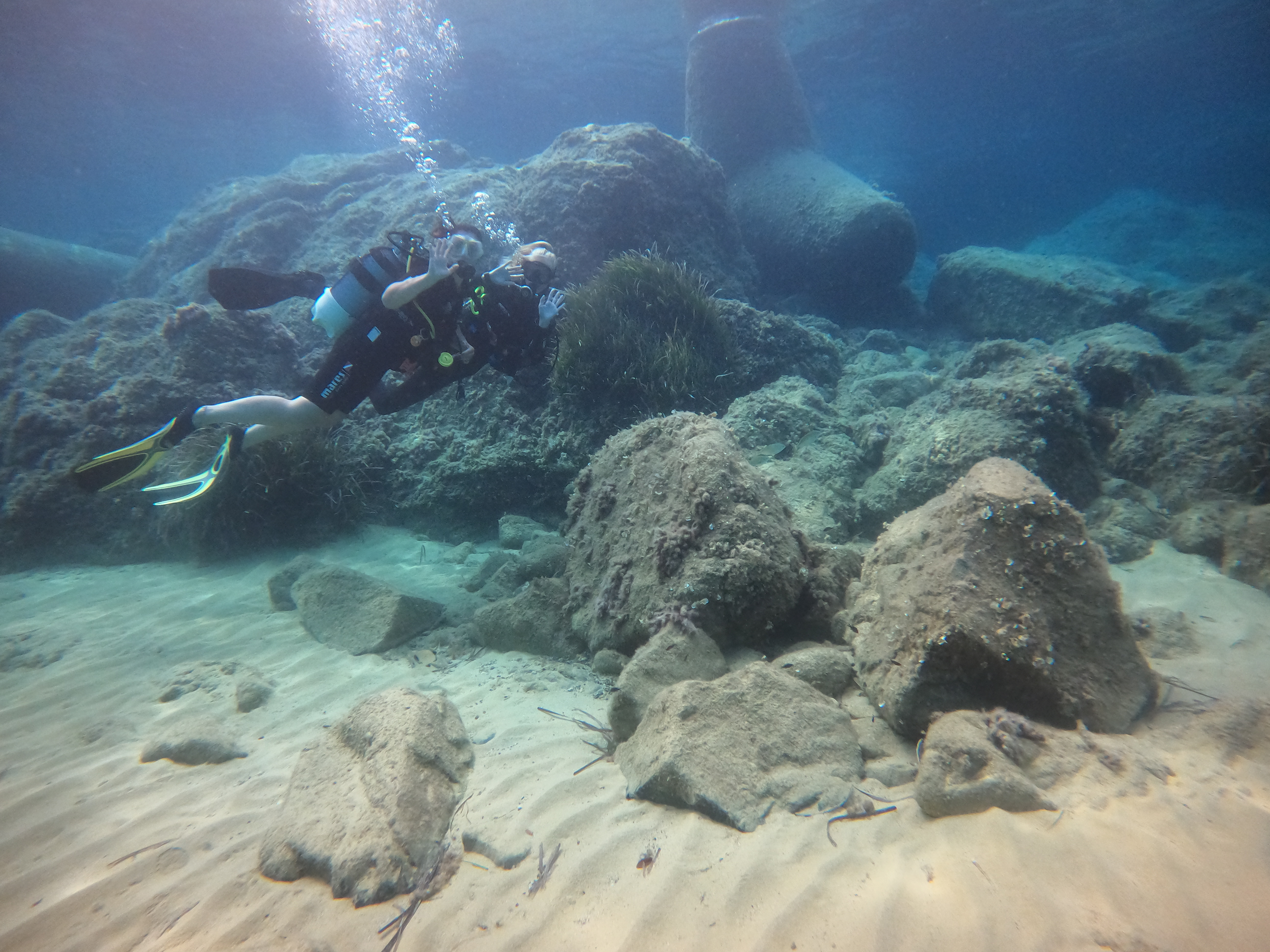 Fotografia 15 de Diving in Elba Biodola