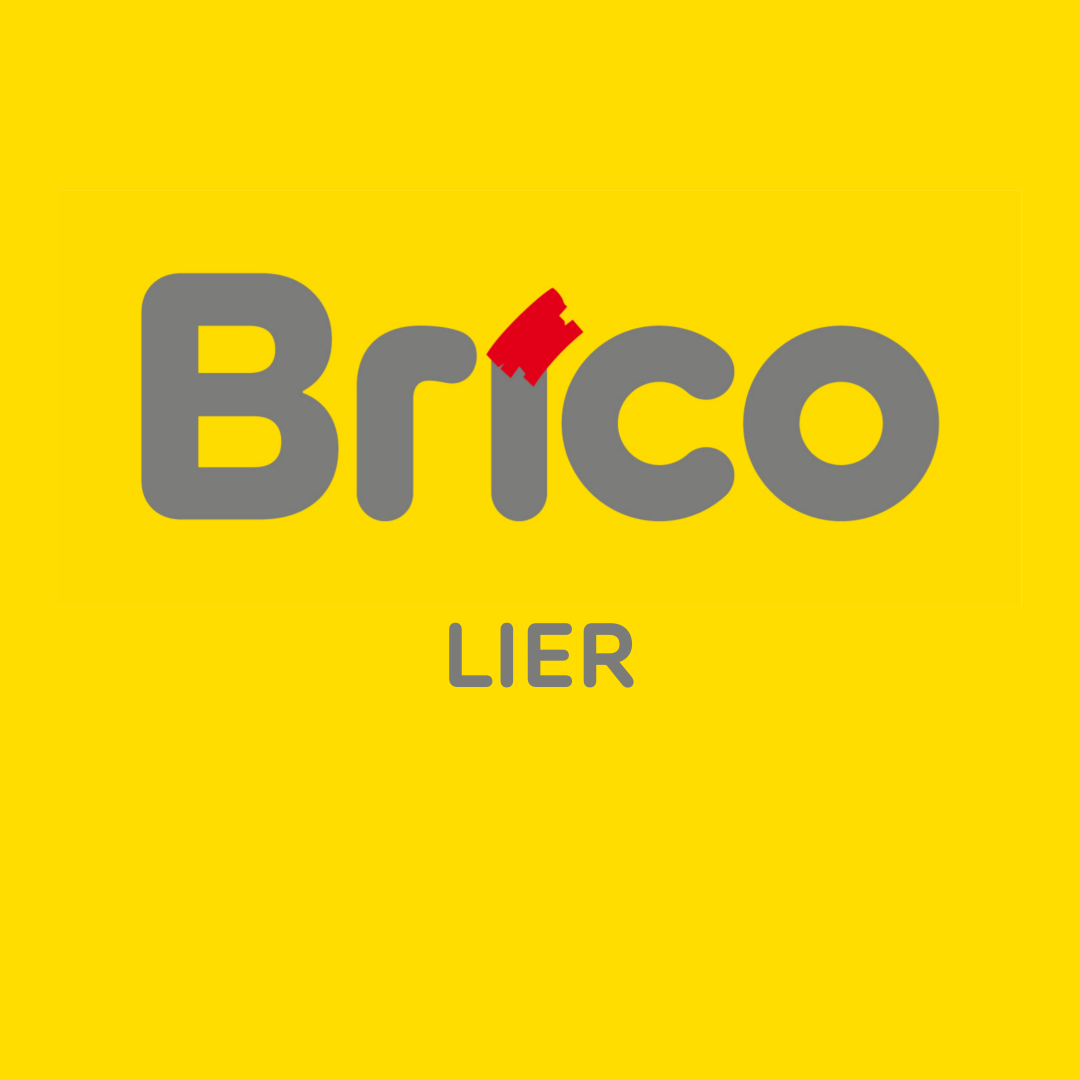 Foto 1 di Brico Lier
