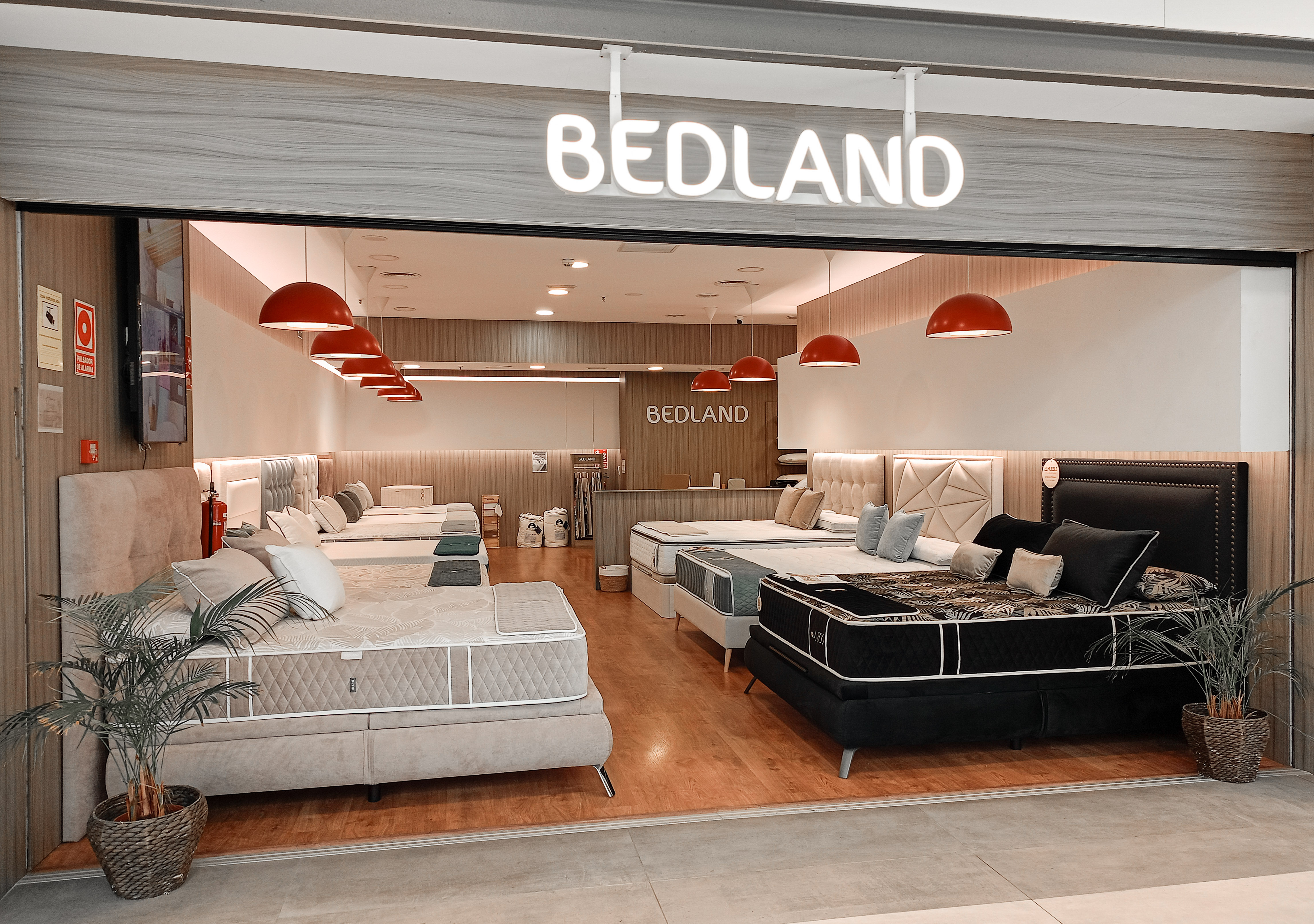 Foto 1 di Bedland