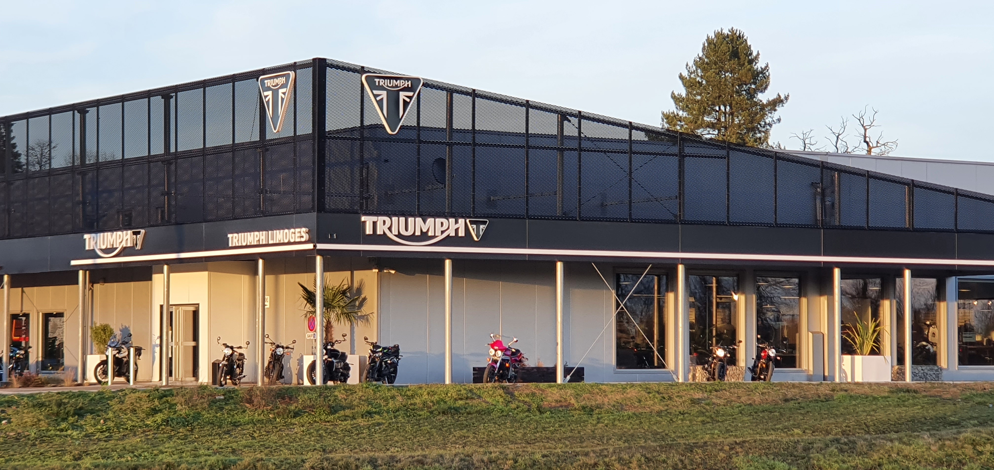 Foto 1 di Triumph Limoges