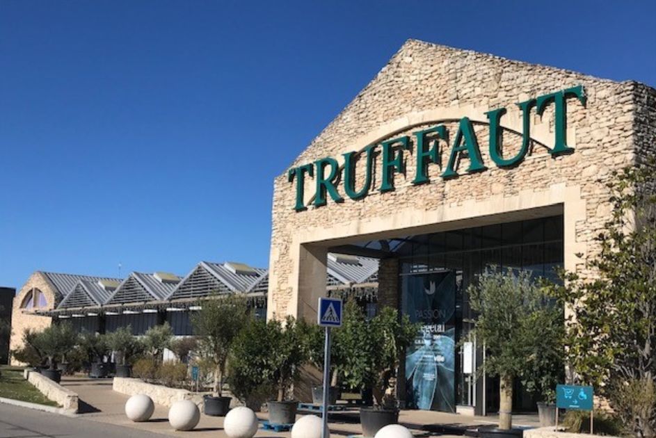 Foto 2 di Truffaut
