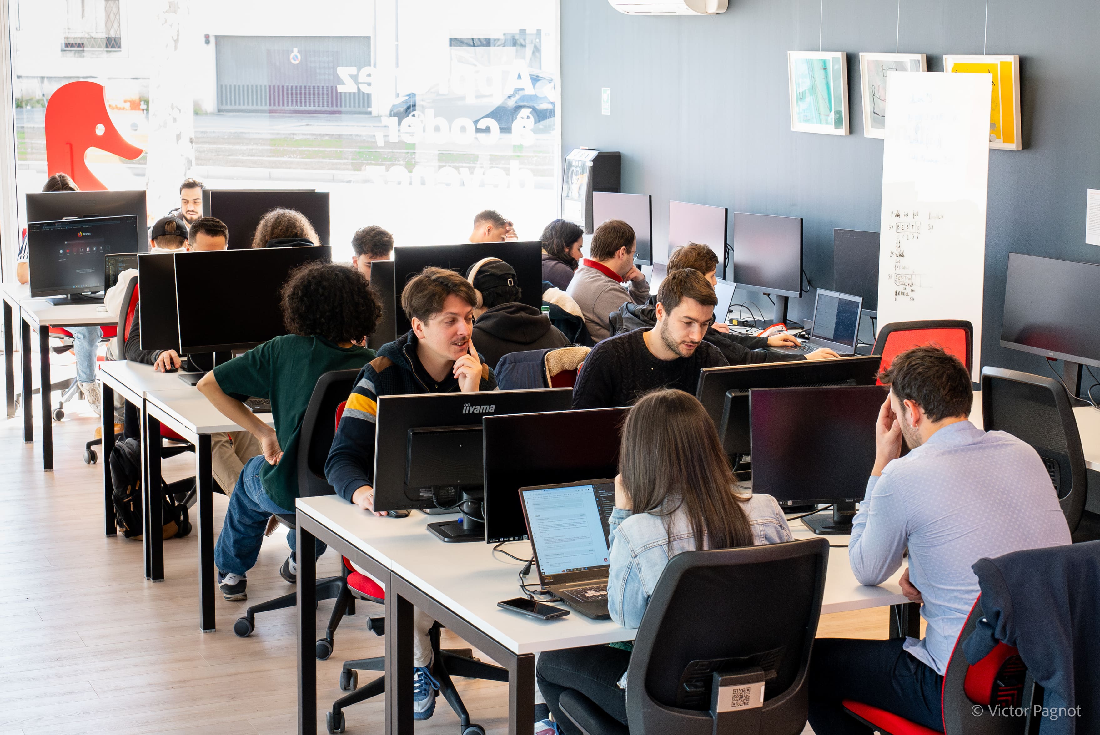 Foto 6 di Holberton School Fréjus