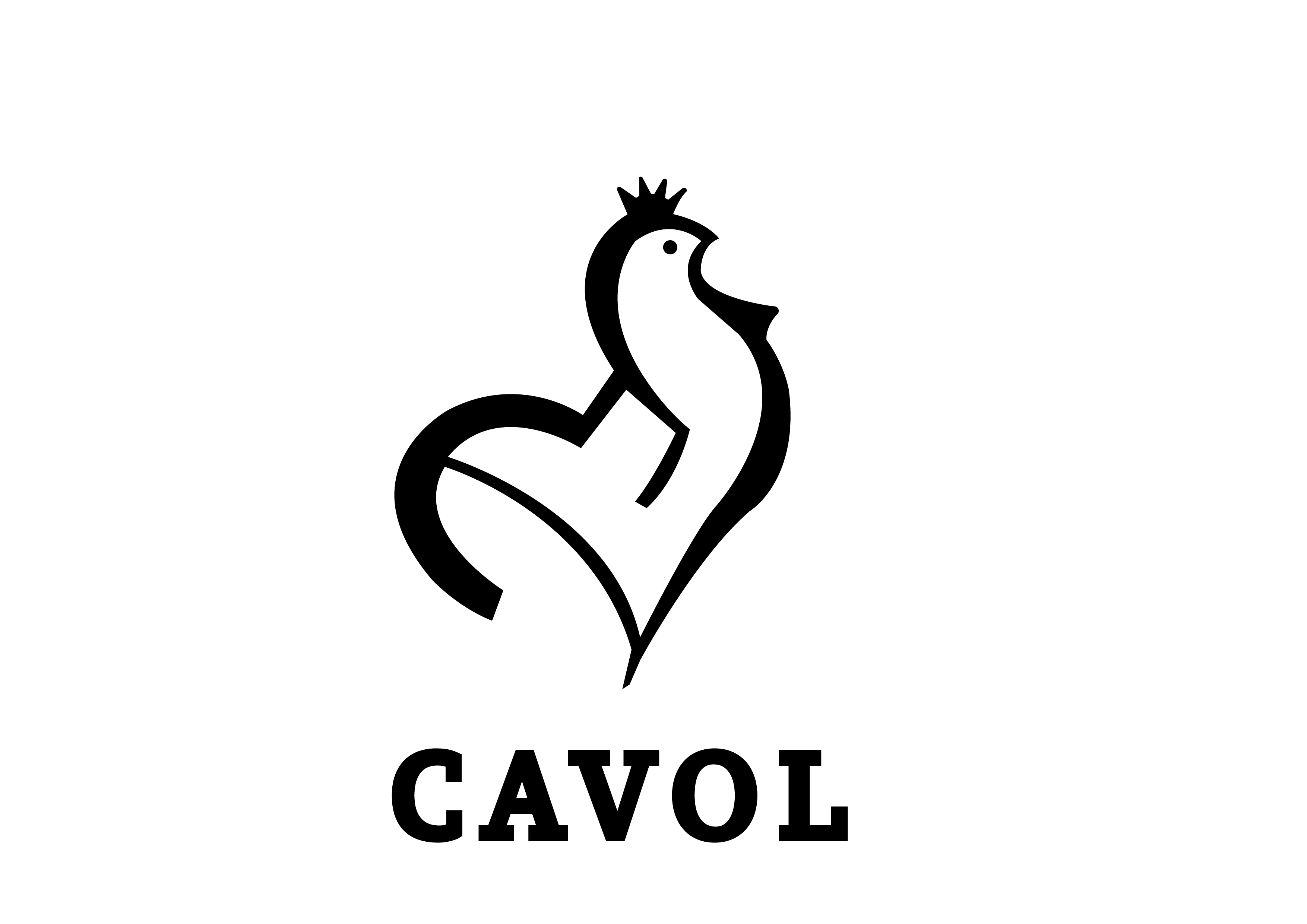 Foto 5 di LDC Cavol