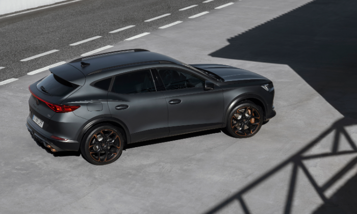 Photo 3 de Cupra Guyane