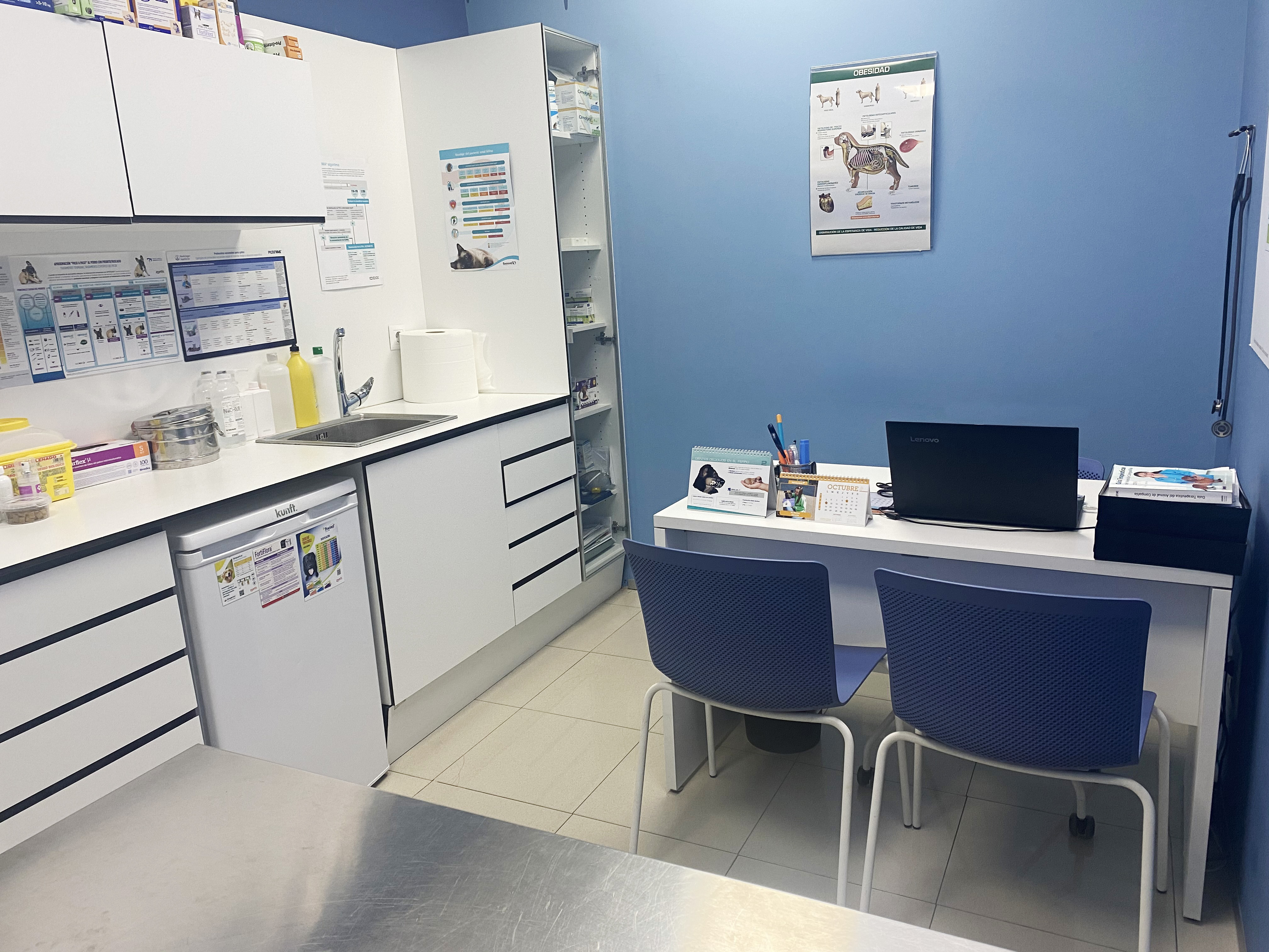 Foto 4 di Clinicanimal