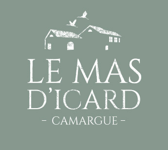 Foto 5 di Mas Icard