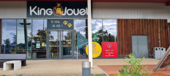 Foto 1 di King Jouet