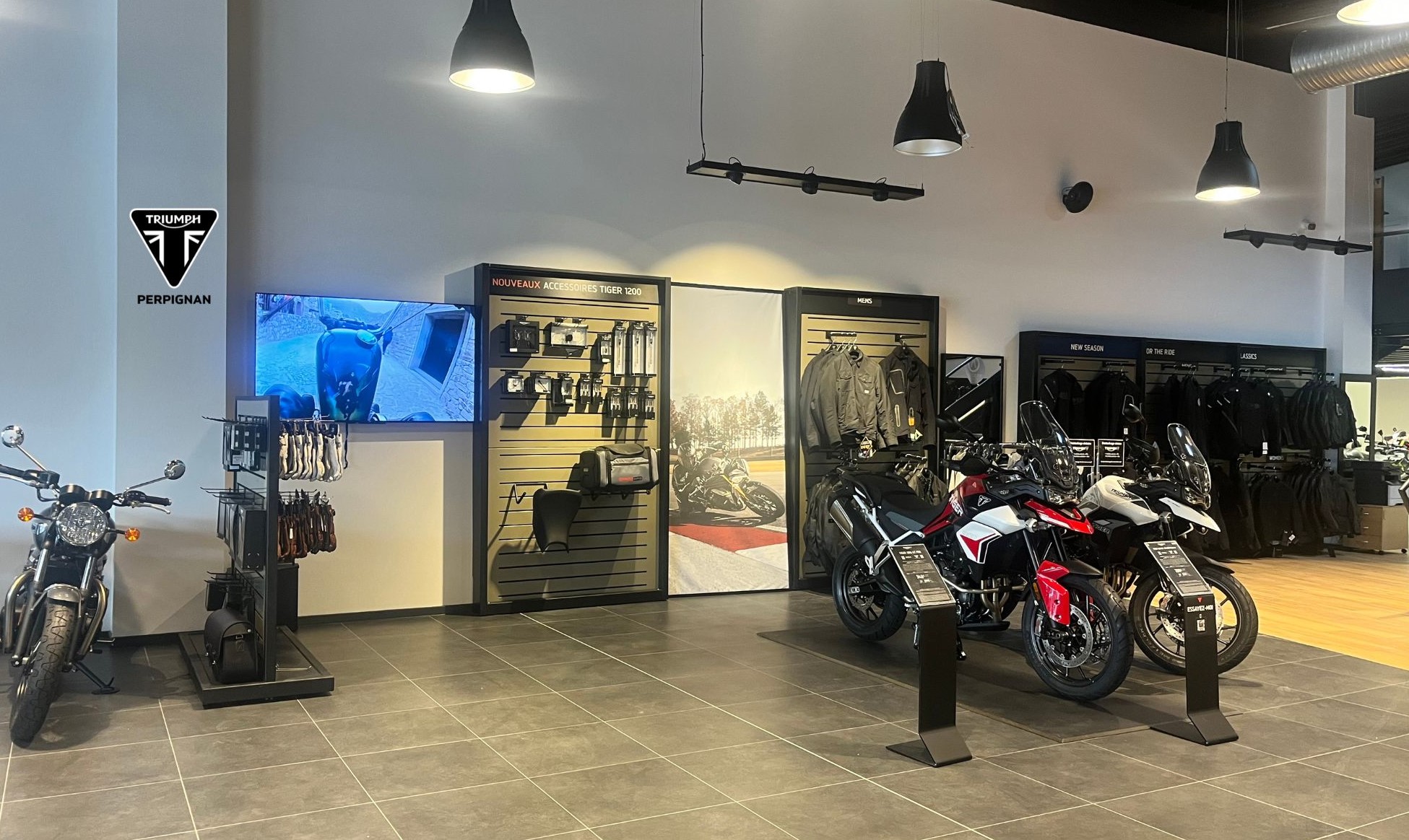 Foto 1 di TRIUMPH PERPIGNAN